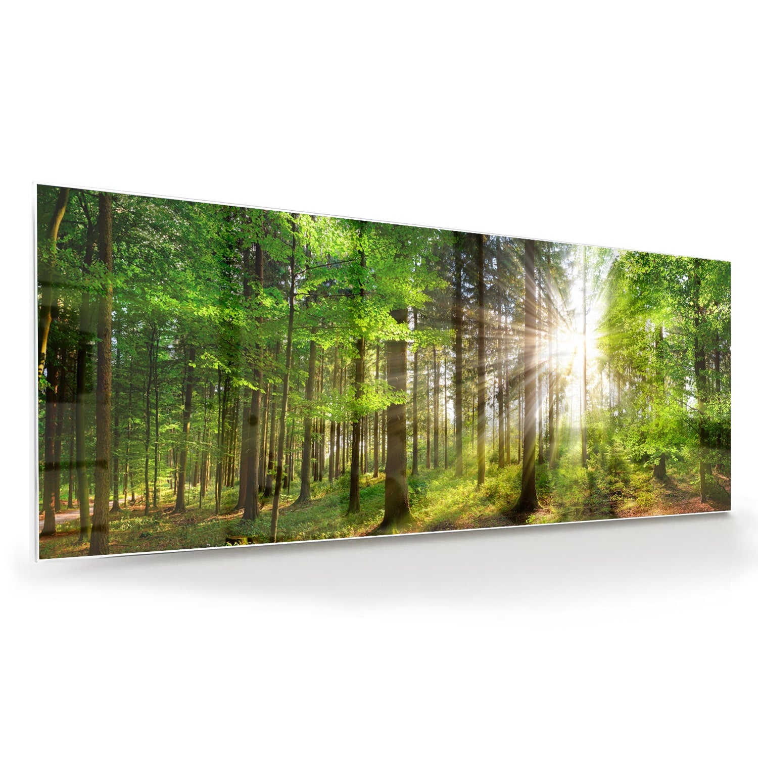 Glazen schilderij van een bos met zonnestralen op een muur.