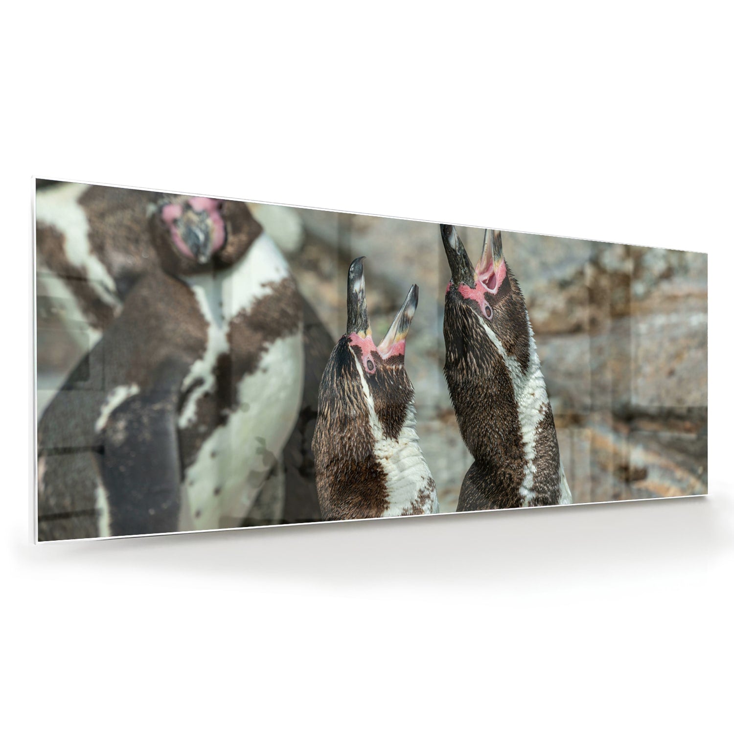Glas schilderij met vrolijke pinguns op een muur in een modern interieur.