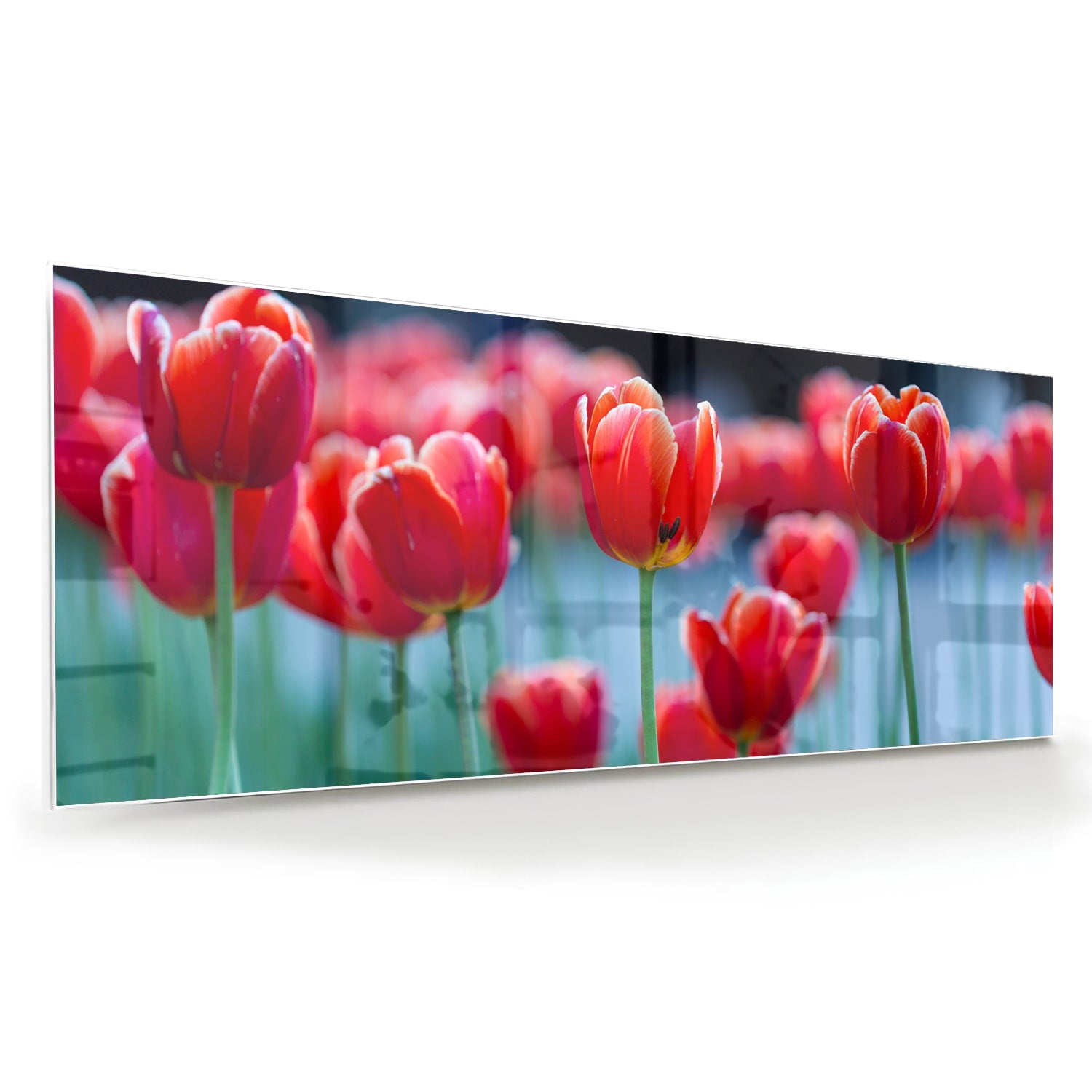Glazen schilderij met rode tulpen op een witte muur