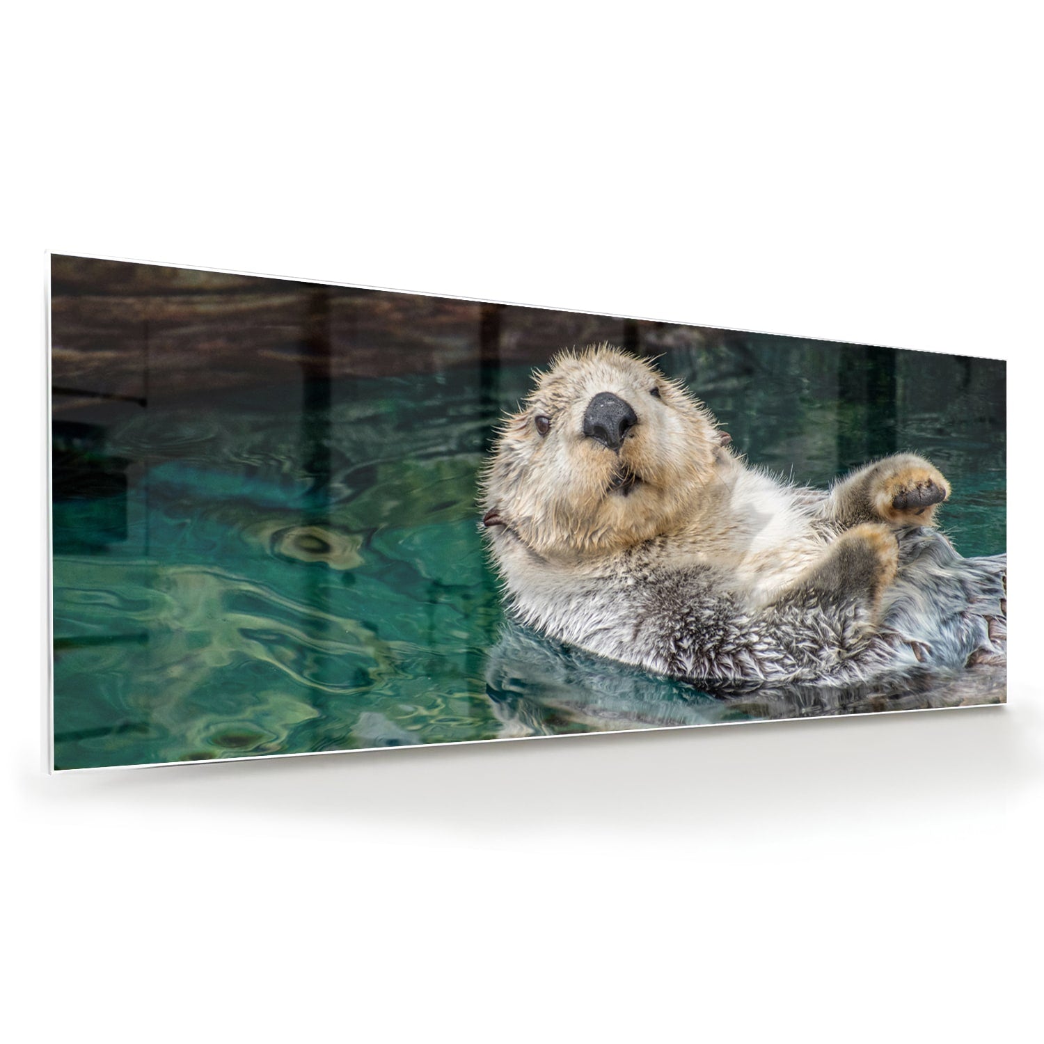 Glazen schilderij van een zeeotter die in water drijft.