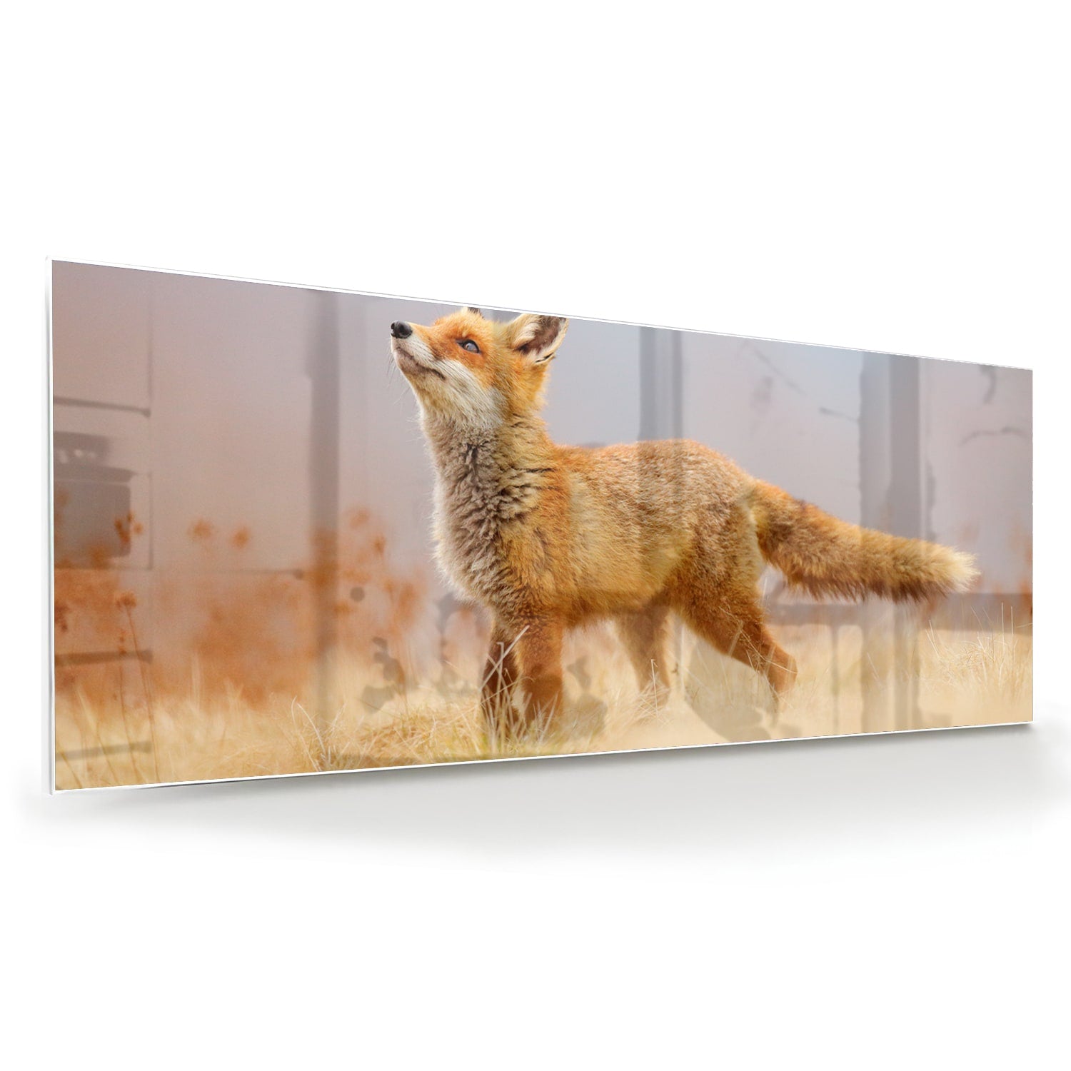 Glazen schilderij van een vos die in de natuur staat, perfect voor moderne interieurs.