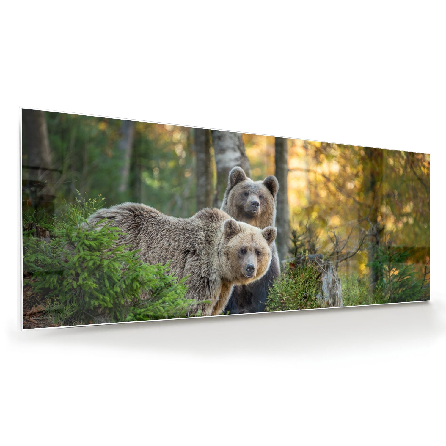 Glazen schilderij met twee schattige beren in een bosrijke omgeving