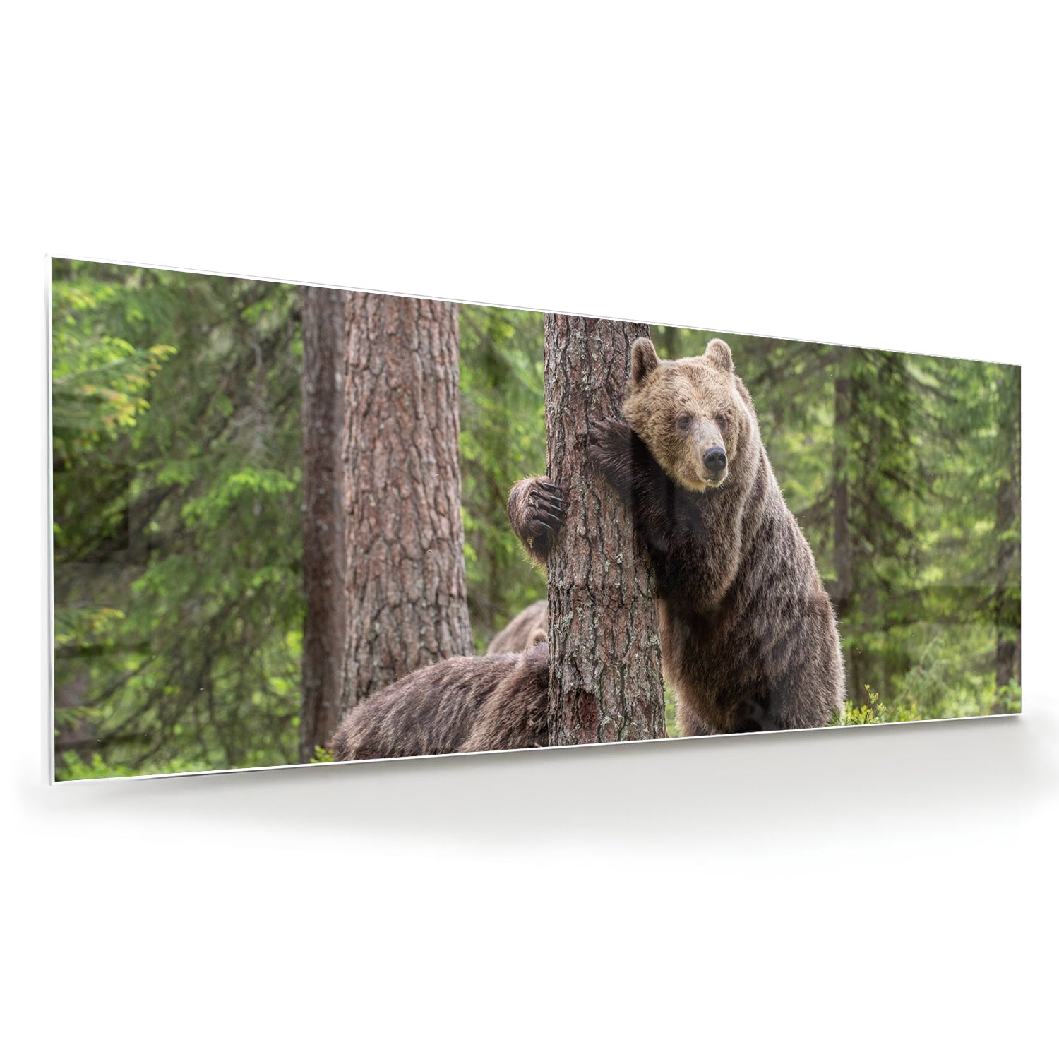 Glazen schilderij van een grizzly beer leunend tegen een boom in de natuur.
