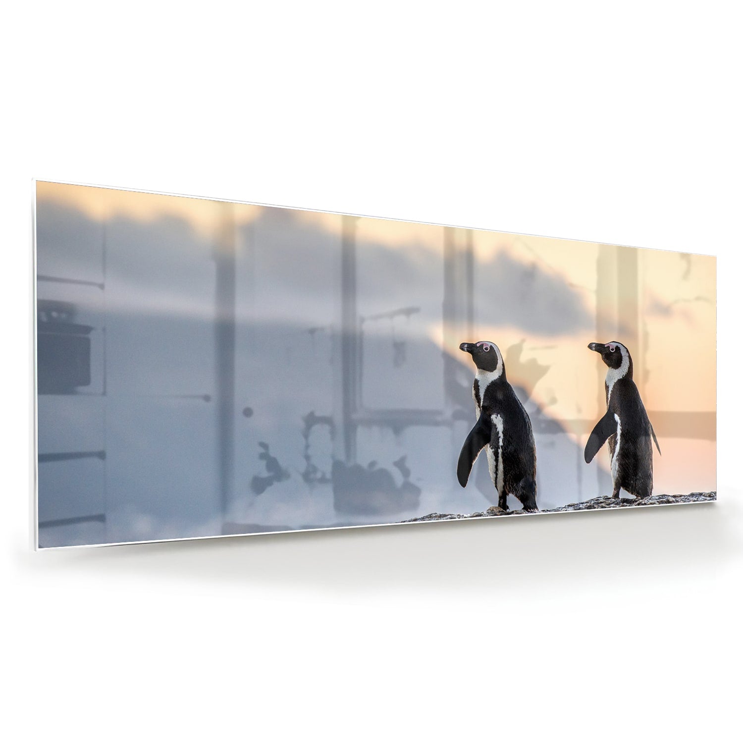Glazen schilderij van pinguns aan zee met een zonsondergang op de achtergrond