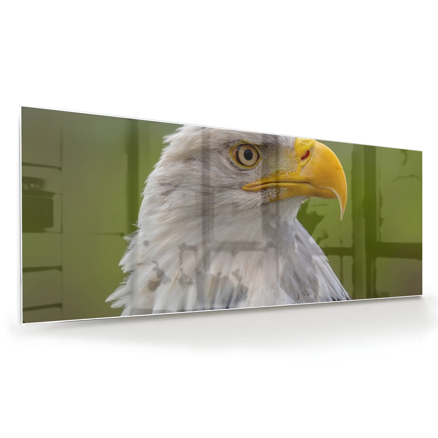 Een prachtig glazen schilderij van een Amerikaanse zeearend met een groene achtergrond.