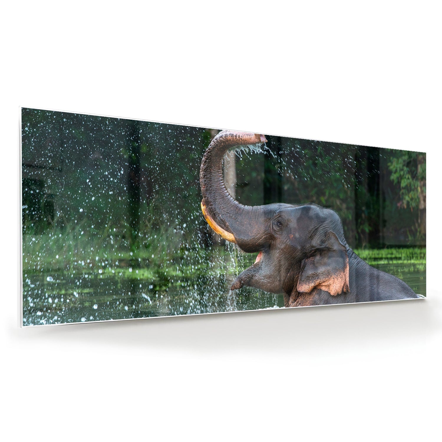 Glazen schilderij van een olifant die speelt in het water