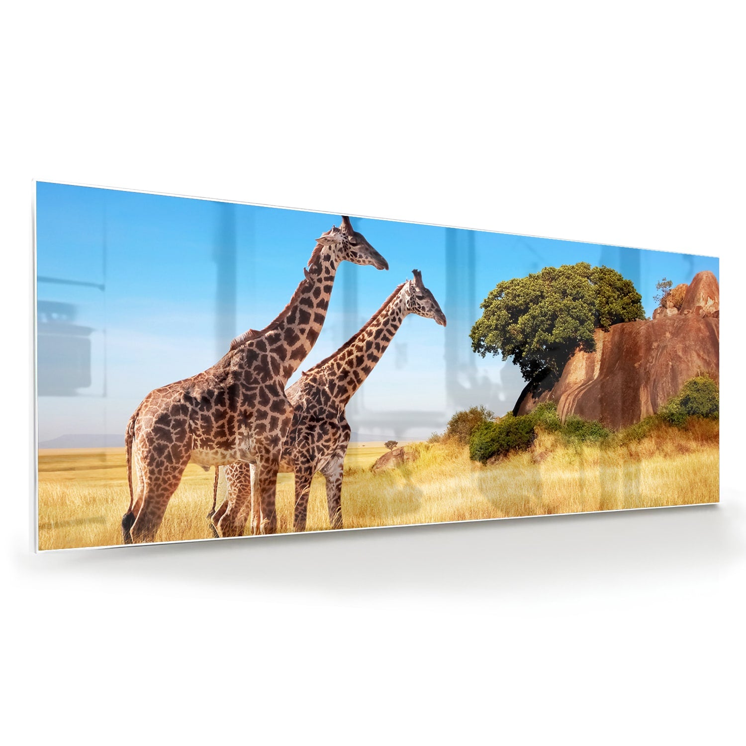 Glazen schilderij van twee giraffen in een Afrikaans landschap