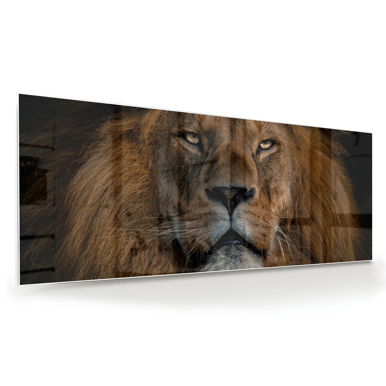 Glazen schilderij van een leeuw, een krachtige uitstraling voor de wand.