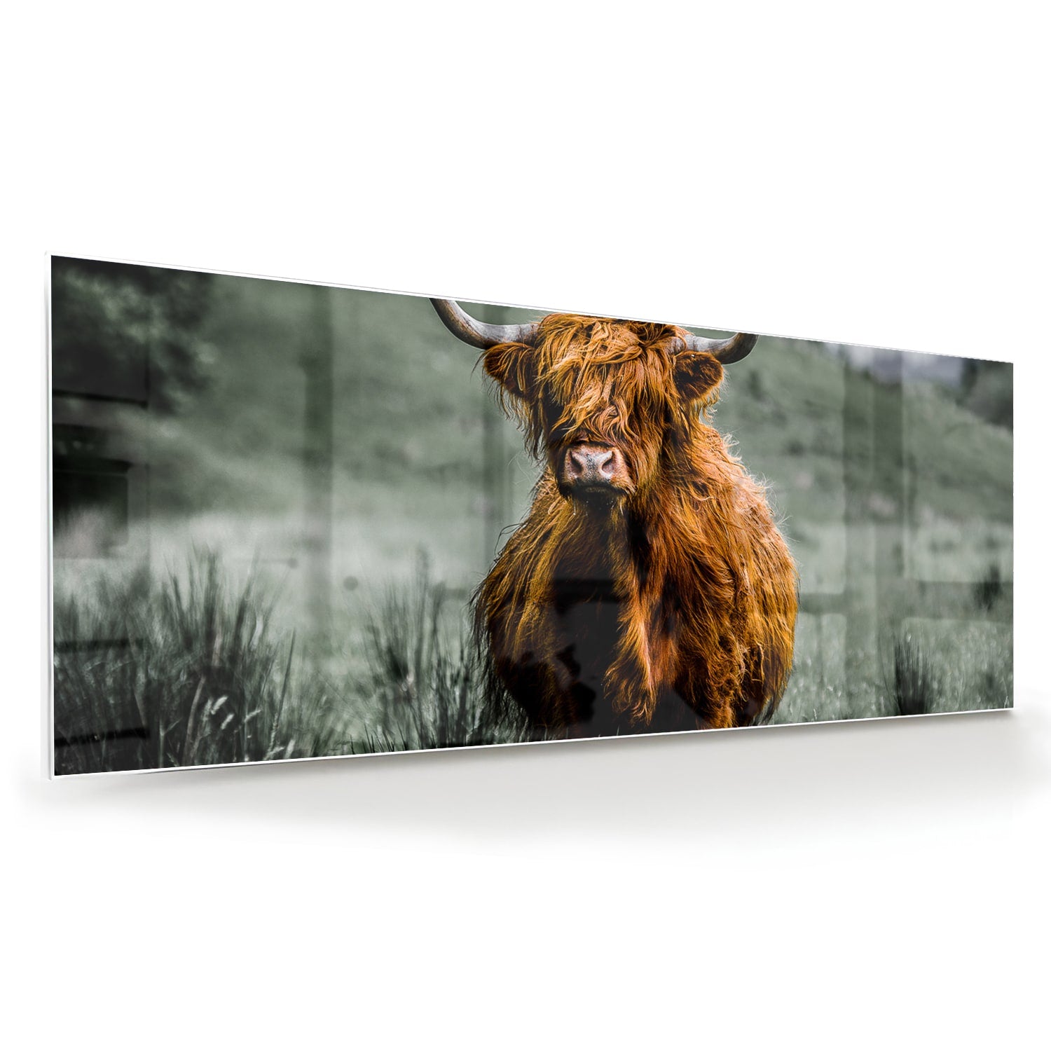 Schots Hooglander schilderij op glas in een groene omgeving.