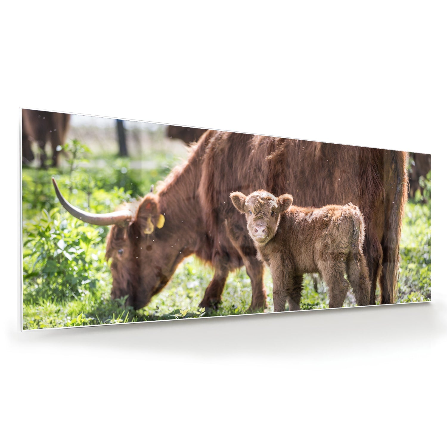 Glazen schilderij van een moederkoe met haar kalf in een groene weide.