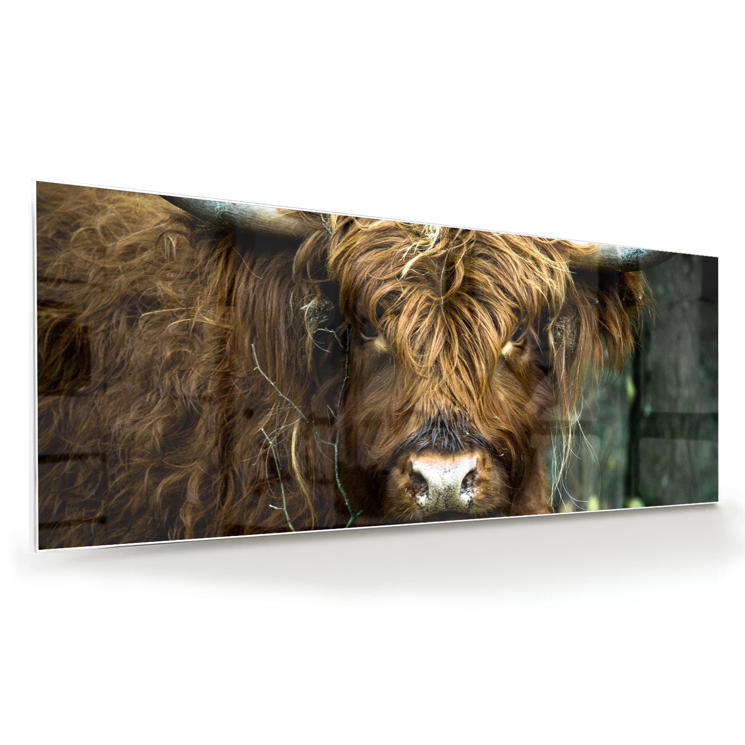 Glazen schilderij van een Schotse Hooglander in een natuurlijke omgeving