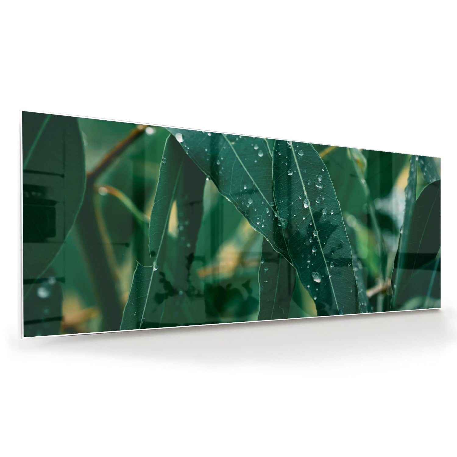 Glas schilderij van groene bladeren met dauwdruppels in een interieur