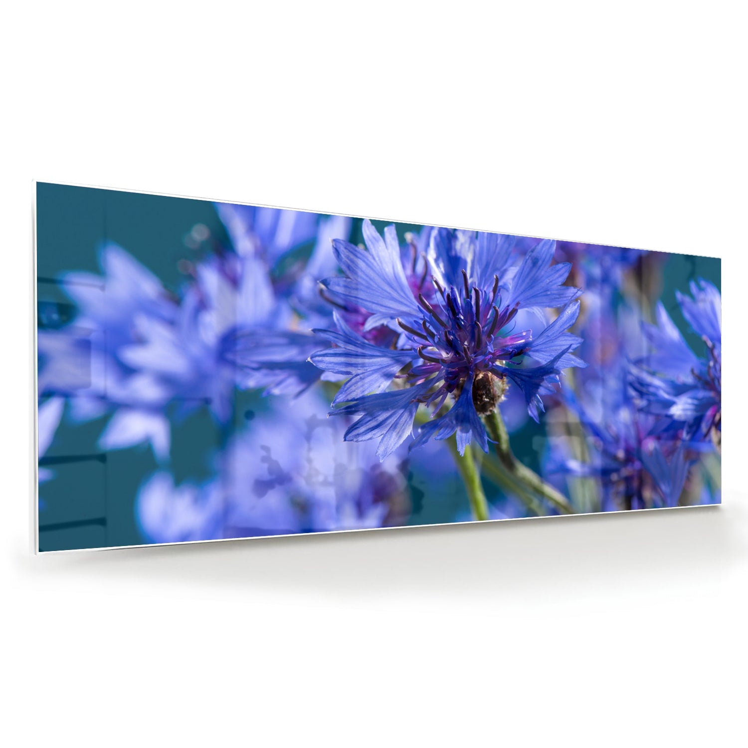 Een glazen schilderij met paarse bloemen op een witte muur, in een sfeervolle woonkamer.