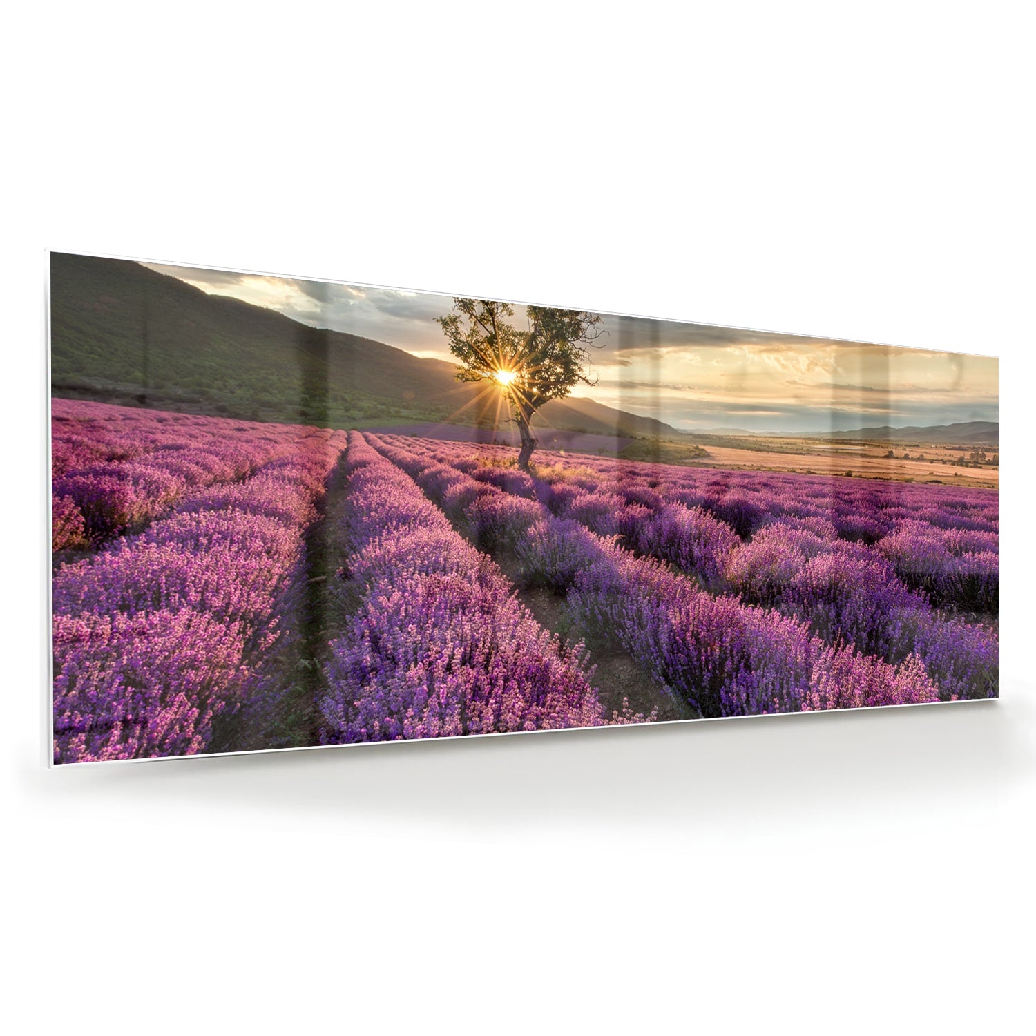 Glazen schilderij van paarse lavendelvelden tijdens de zonsondergang