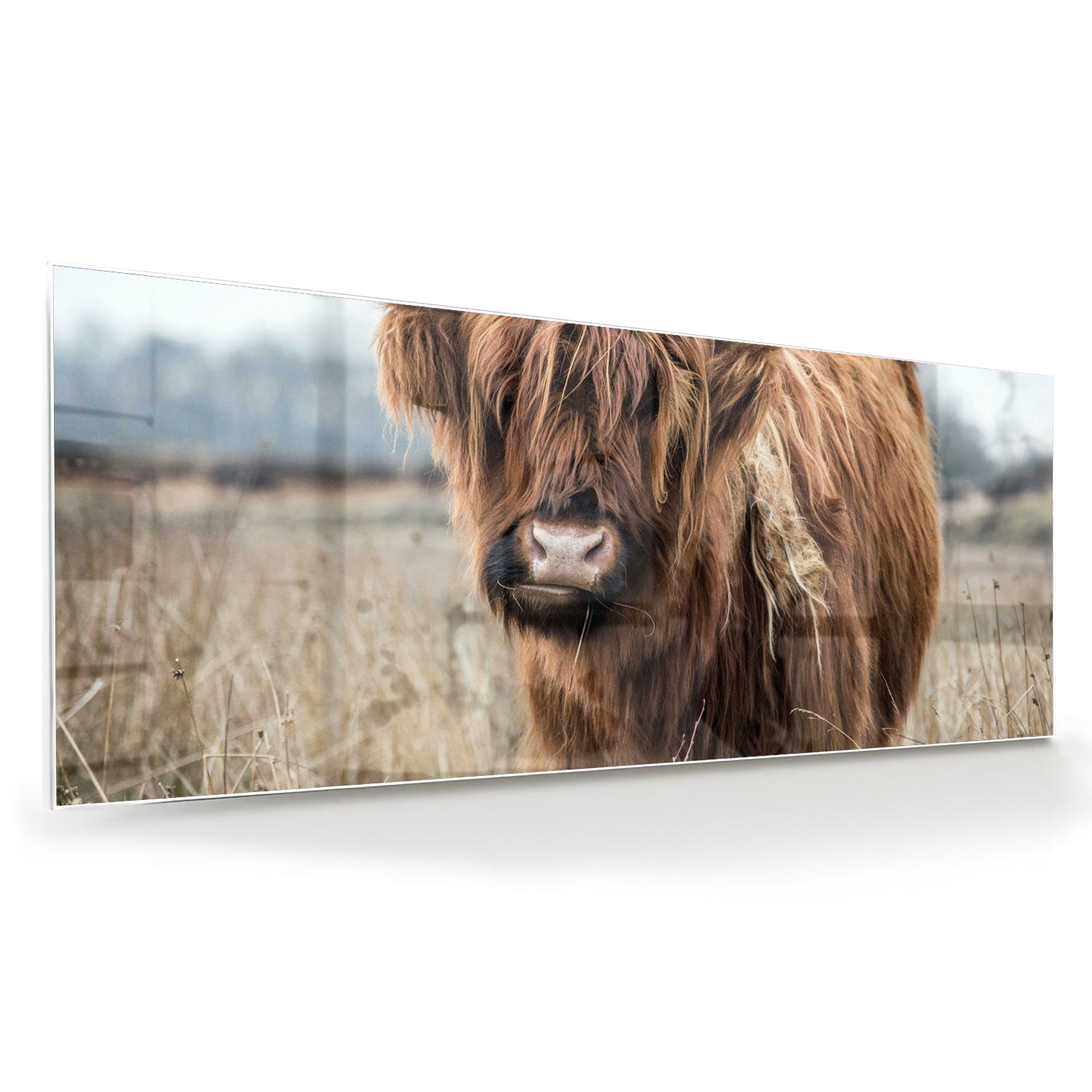 Glazen schilderij met een Houten Hooglander in een natuurlijke omgeving.