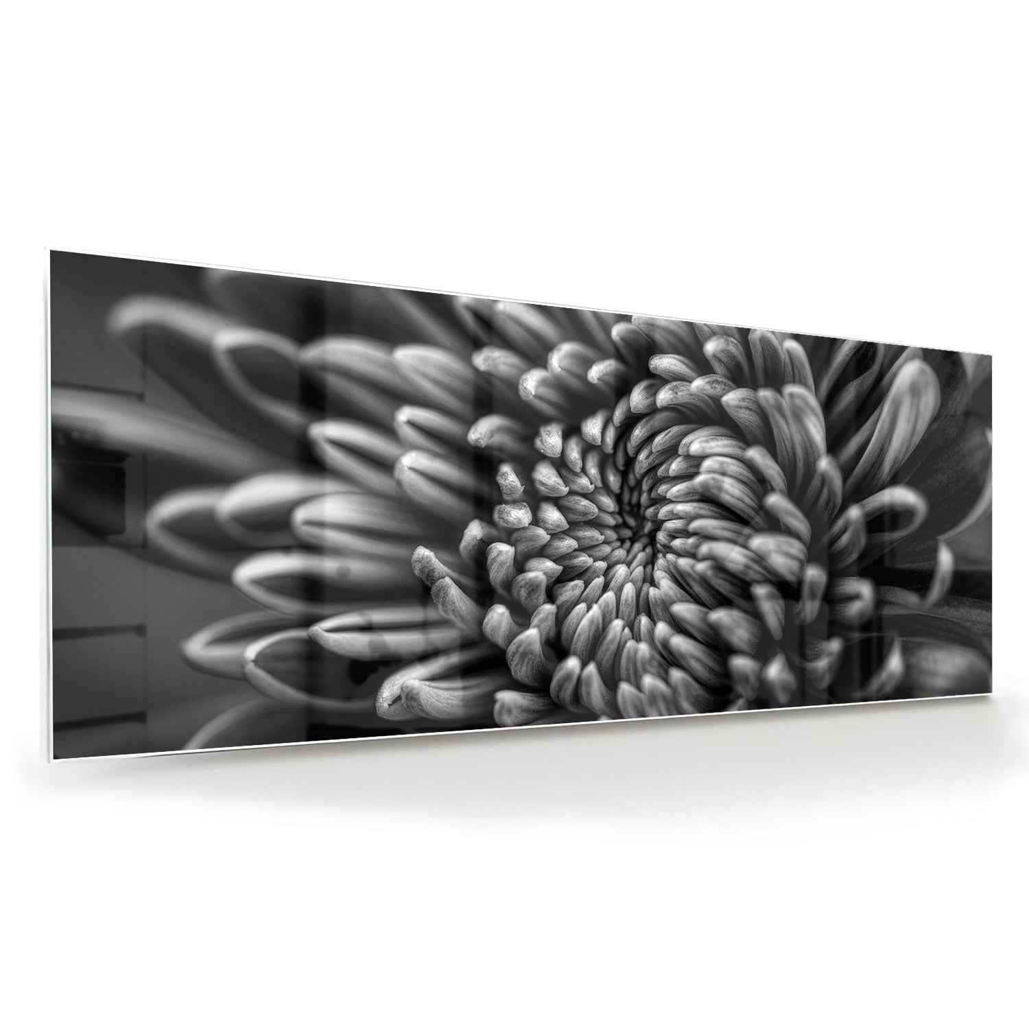 Zwart-wit glas schilderij van een kronkelige bloem aan de muur.