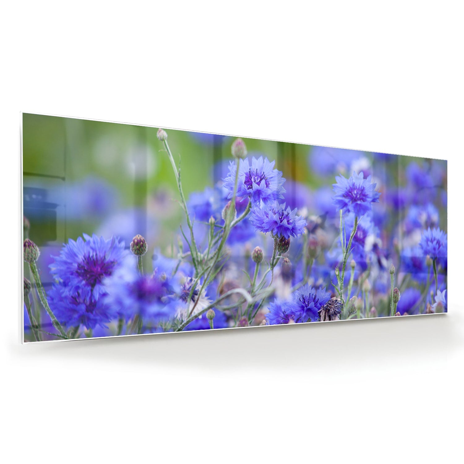Glazen schilderij met paarse bloemen aan de muur in een lichte woonkamer.