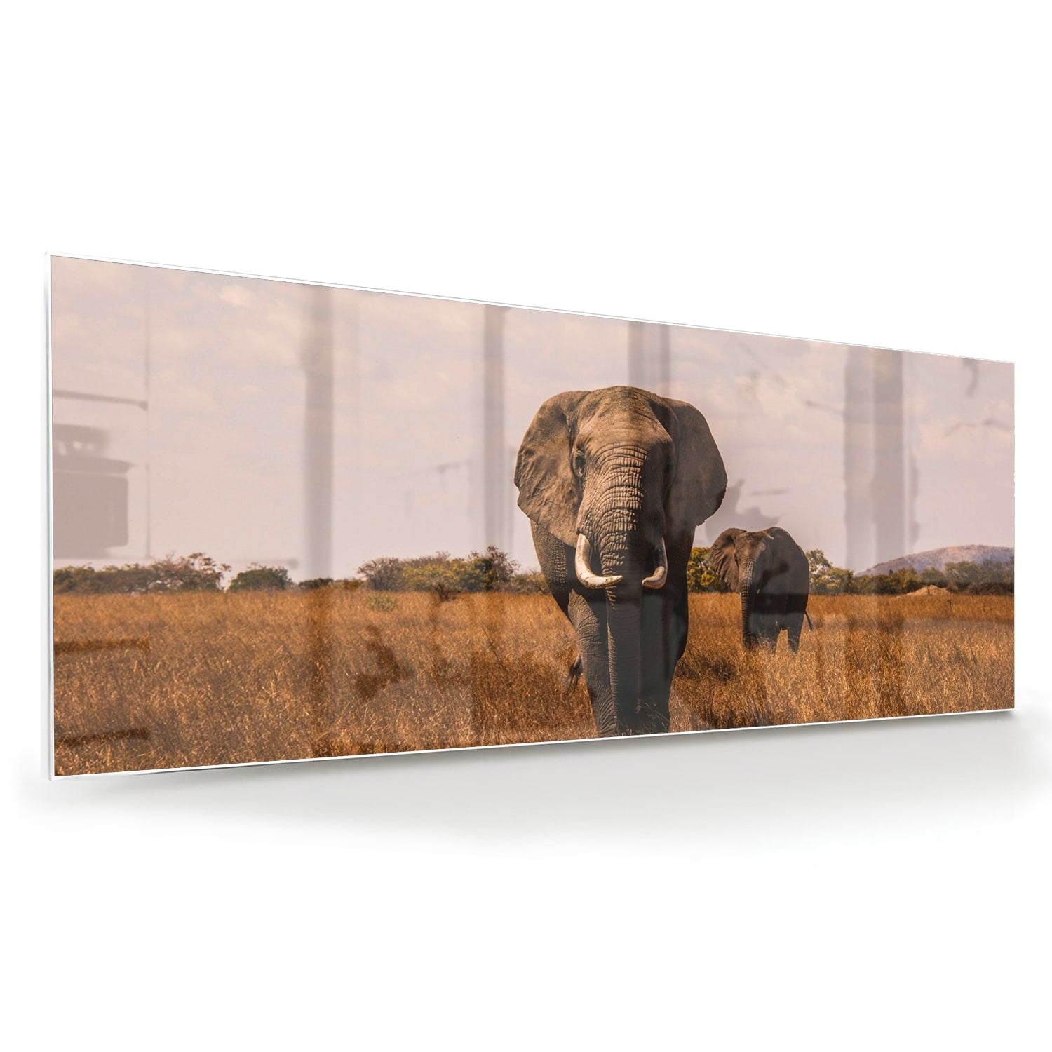 Glazen schilderij van twee olifanten in een gouden graslandschap