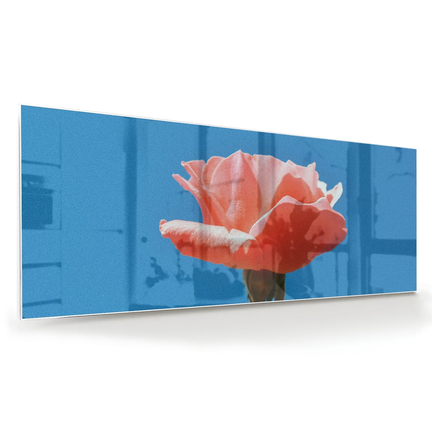 Glas schilderij van een roze roos op een blauwe achtergrond, geschikt voor wanddecoratie.