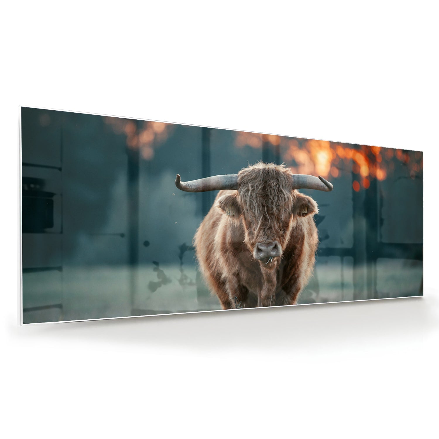 Glazen schilderij van een Schotse Hooglander in een natuurlijke setting.