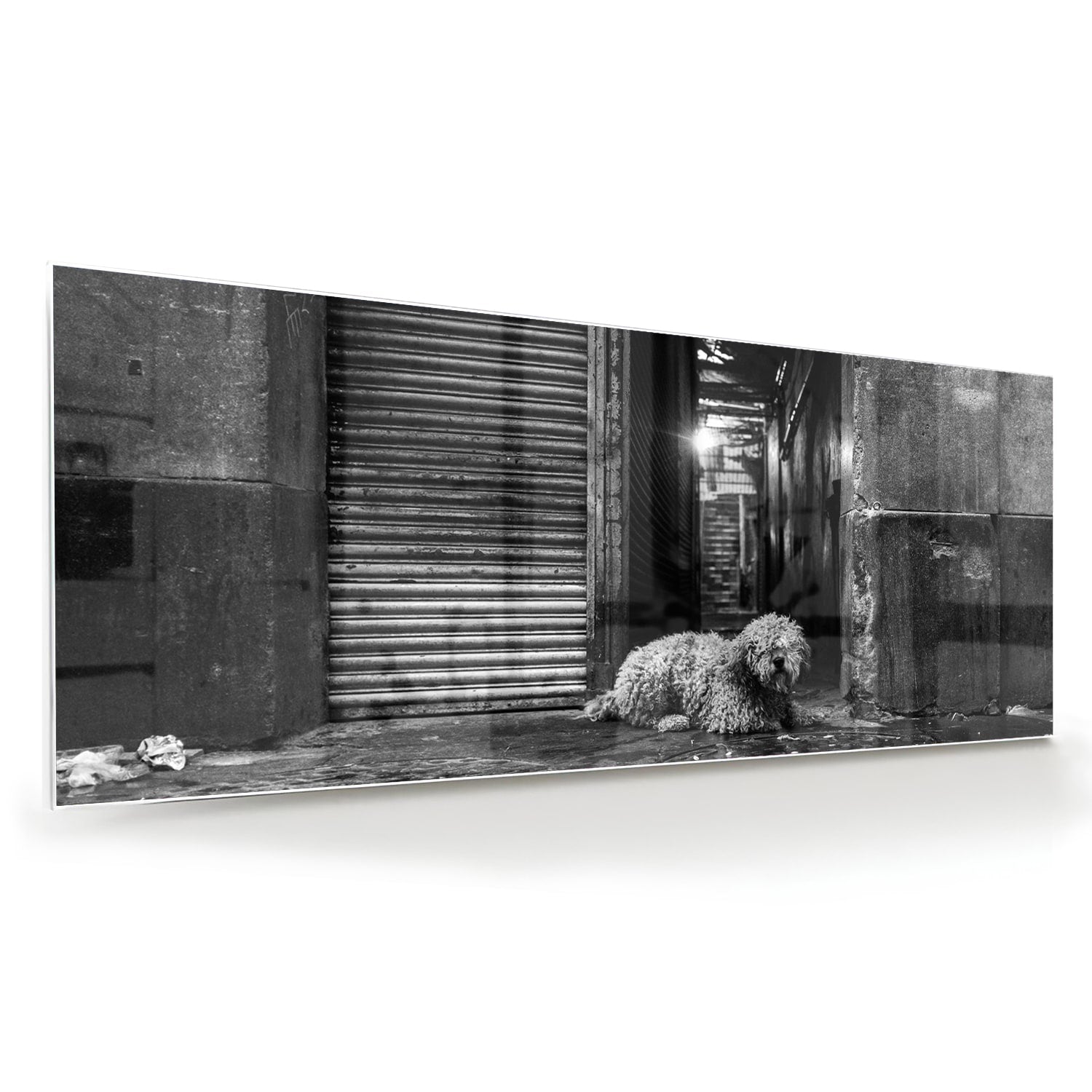 Zwart-wit glazen schilderij van een hond in een regenachtige straat