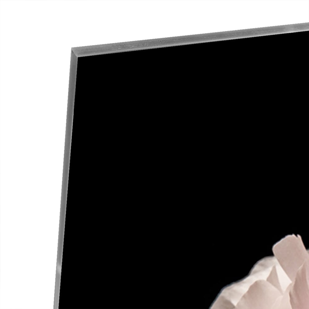 Glazen schilderij van een roze rozenbloem op zwarte achtergrond