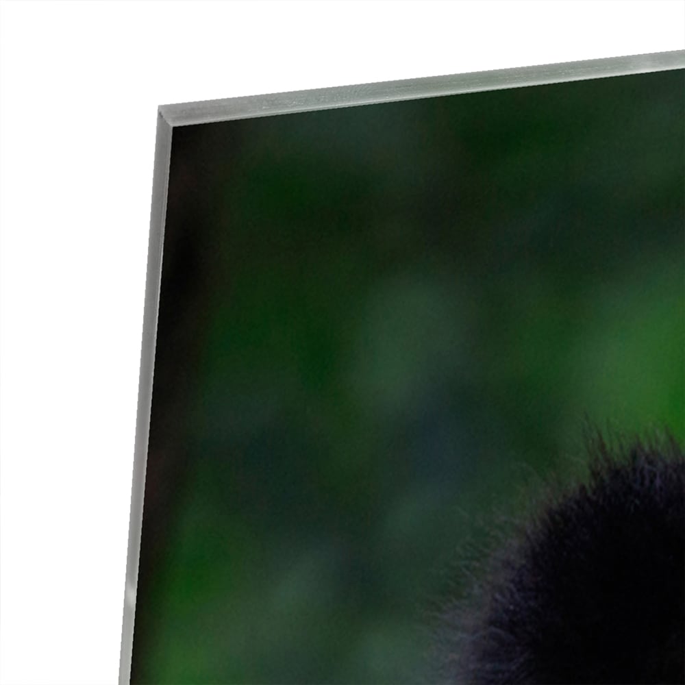 Glazen schilderij met een panda in een groene omgeving, perfect voor mooie interieurdecoratie.