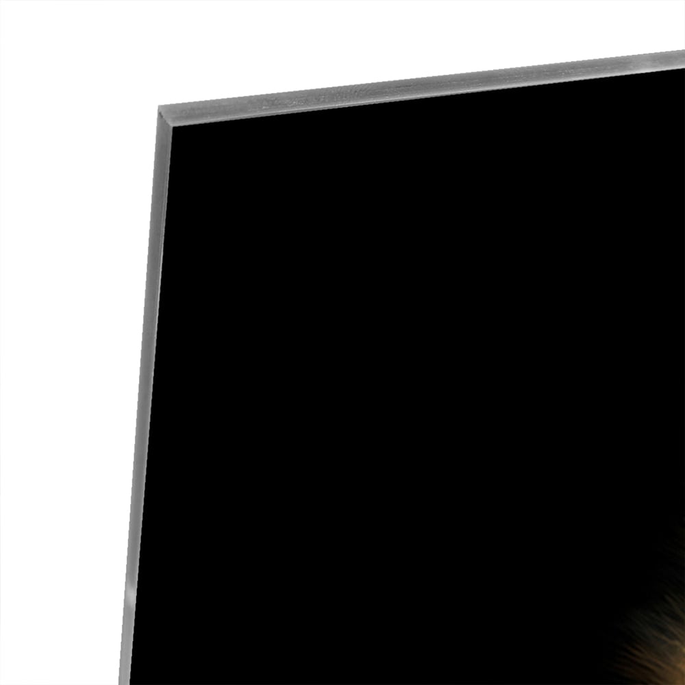 Glazen schilderij van een leeuw met rijke, gouden manen tegen een zwarte achtergrond.