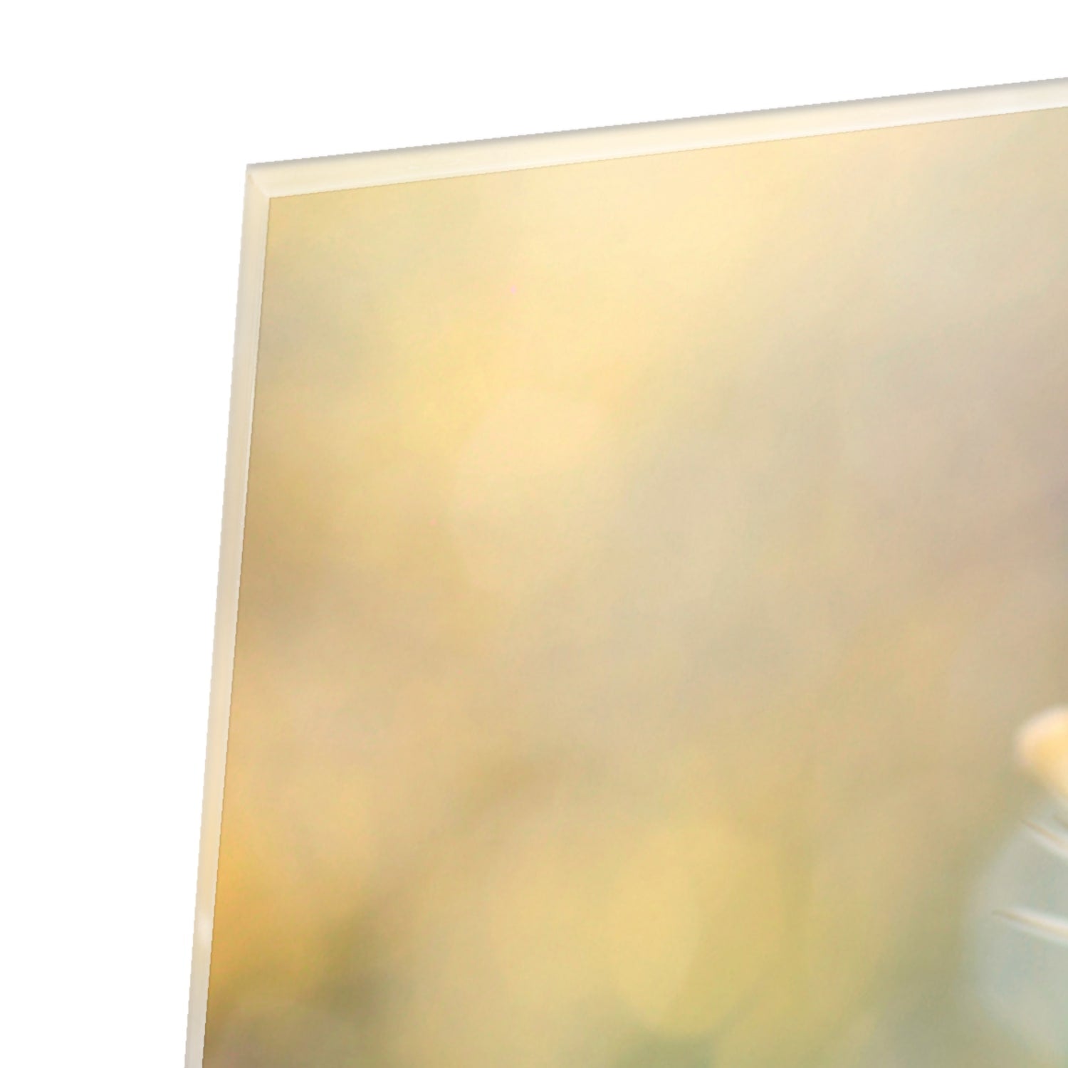 Elegant glazen schilderij van een witte lelie aan de muur