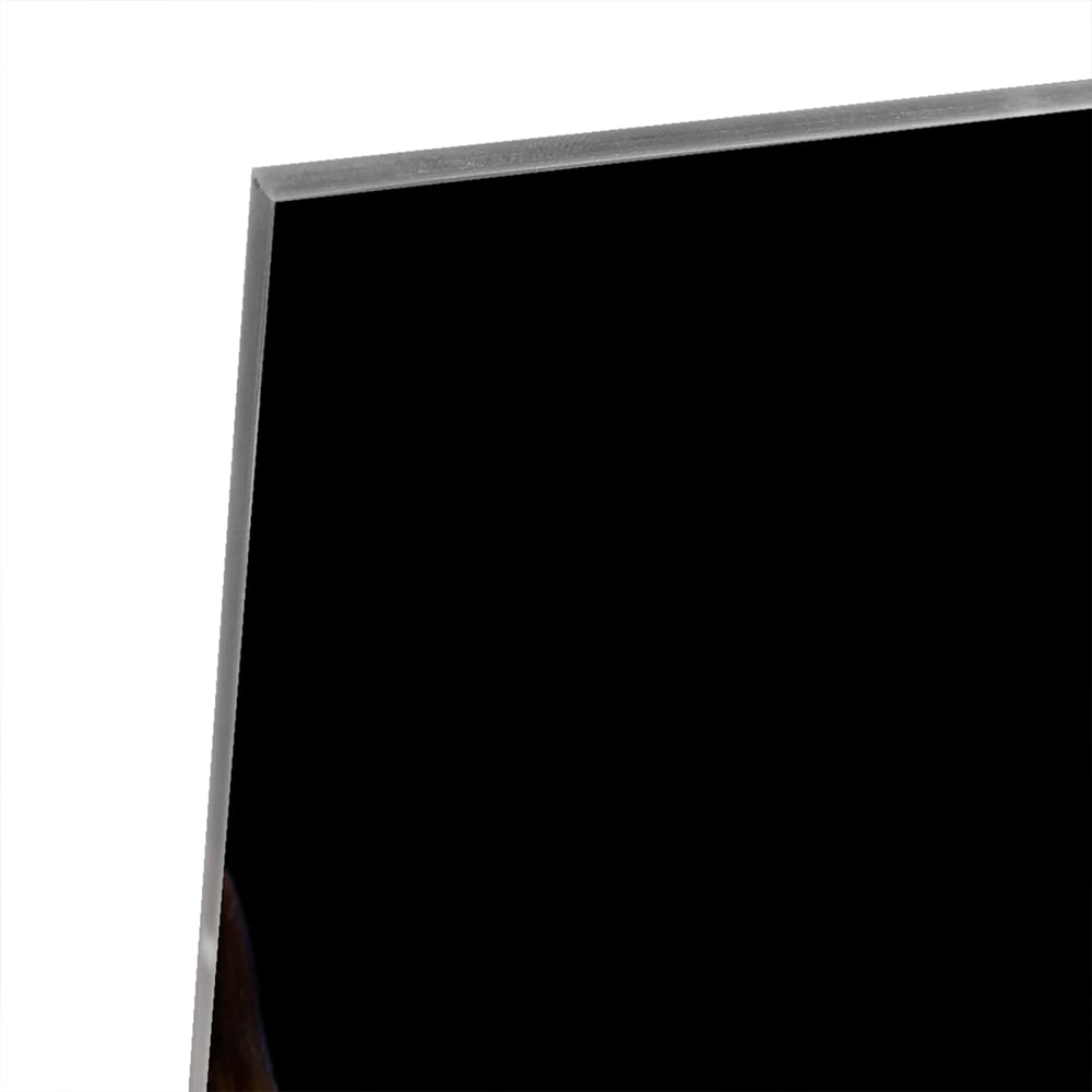 Glazen schilderij van een Highlander rund met lange hoorns en vacht op een zwarte achtergrond.