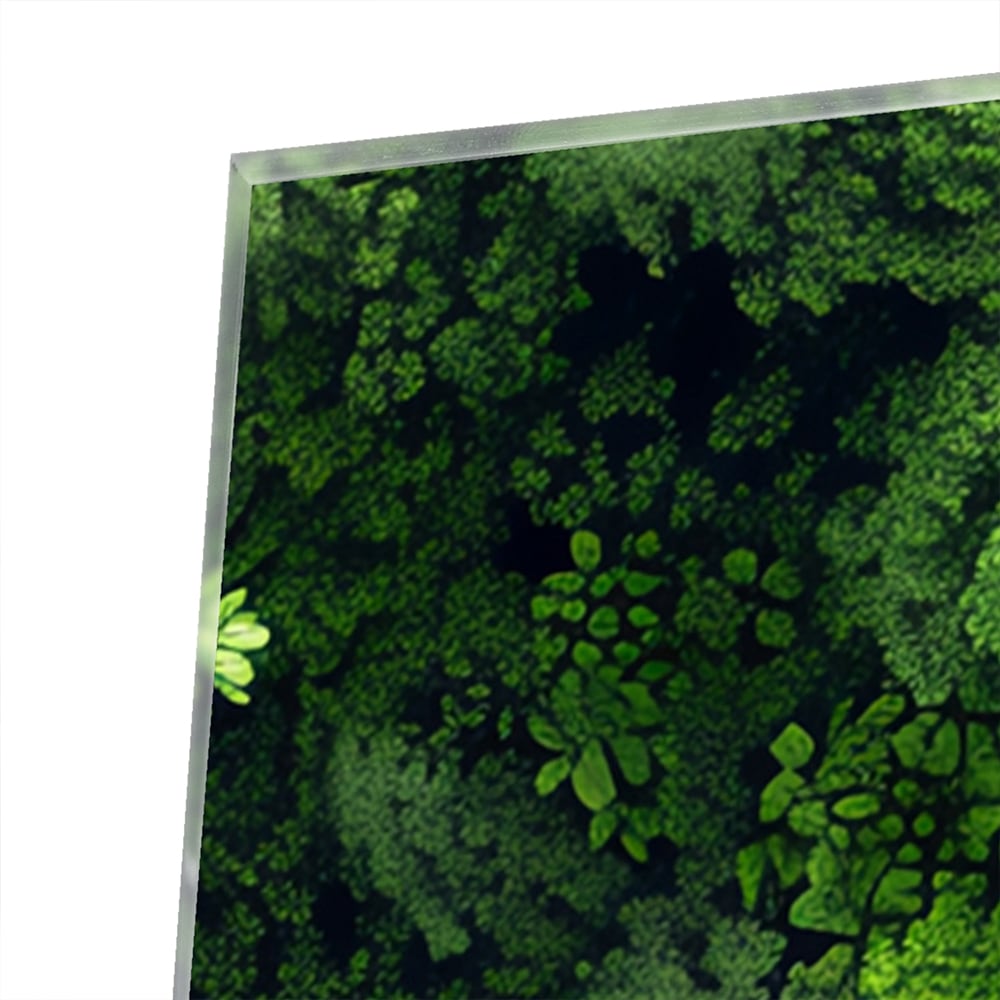 Luchtfoto van een weelderig groen bos op een muur in een moderne kamer.
