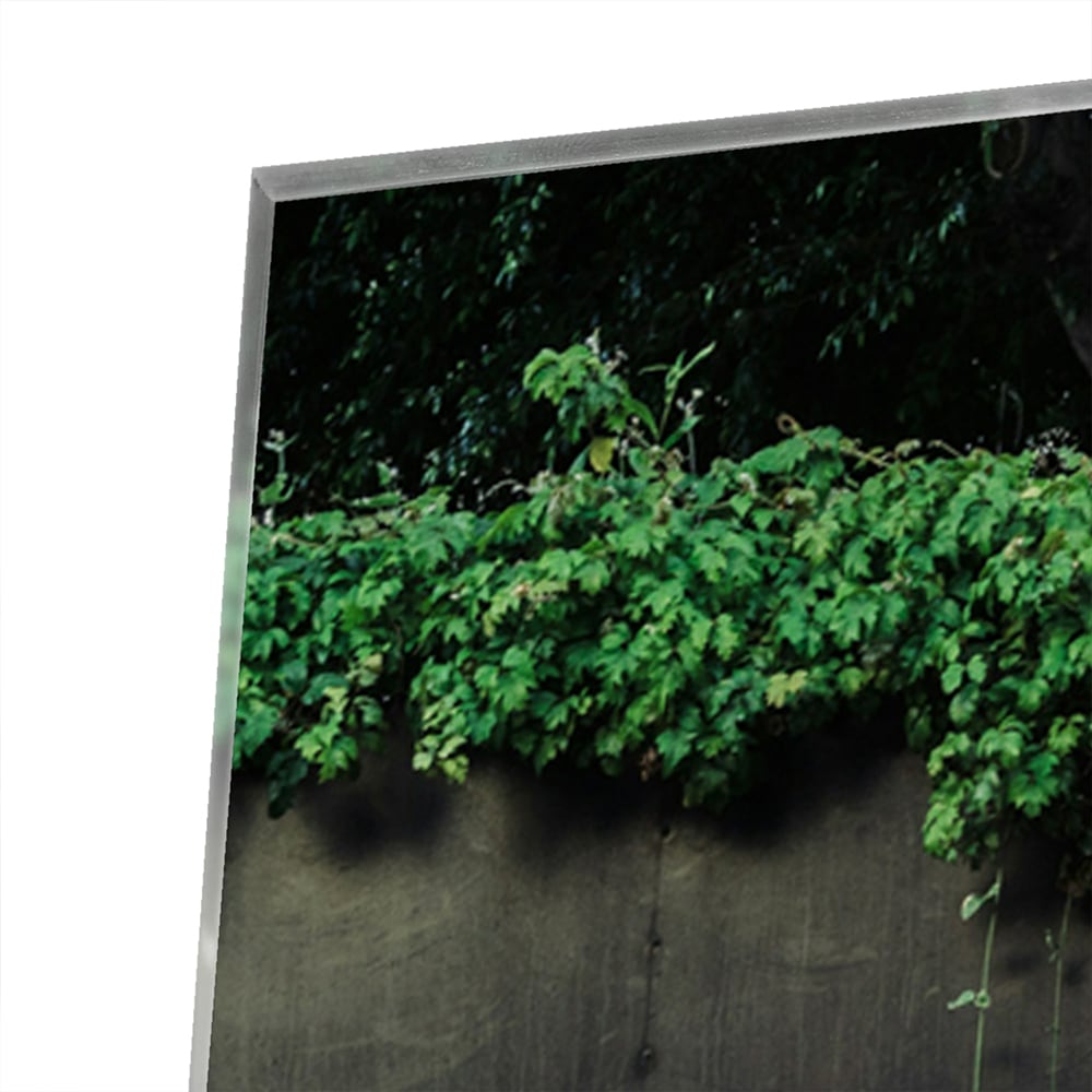 Glas schilderij met de tekst 'We Like You Too' en groene planten achtergronden.