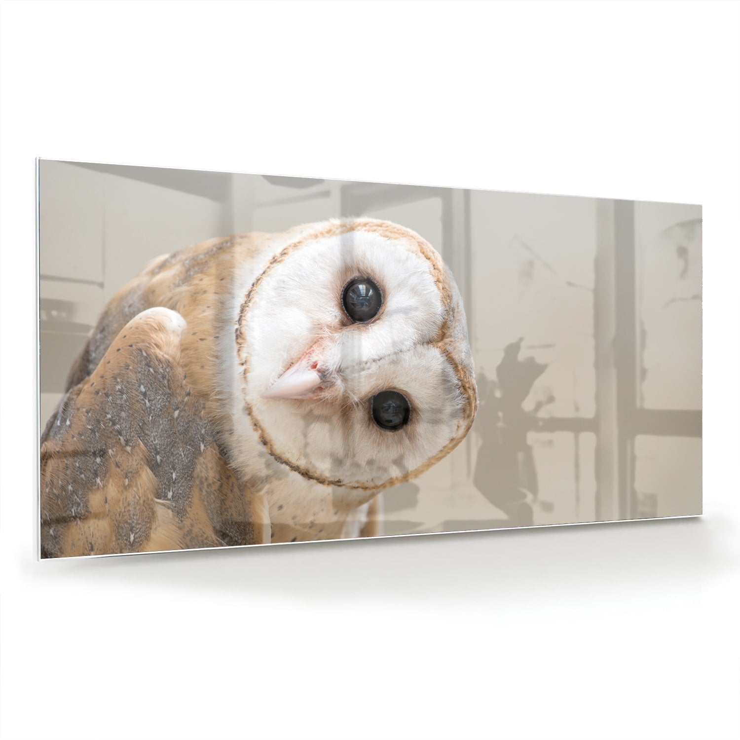 Glazen schilderij van een nieuwsgierige uil aan de muur in een moderne interieursetting.