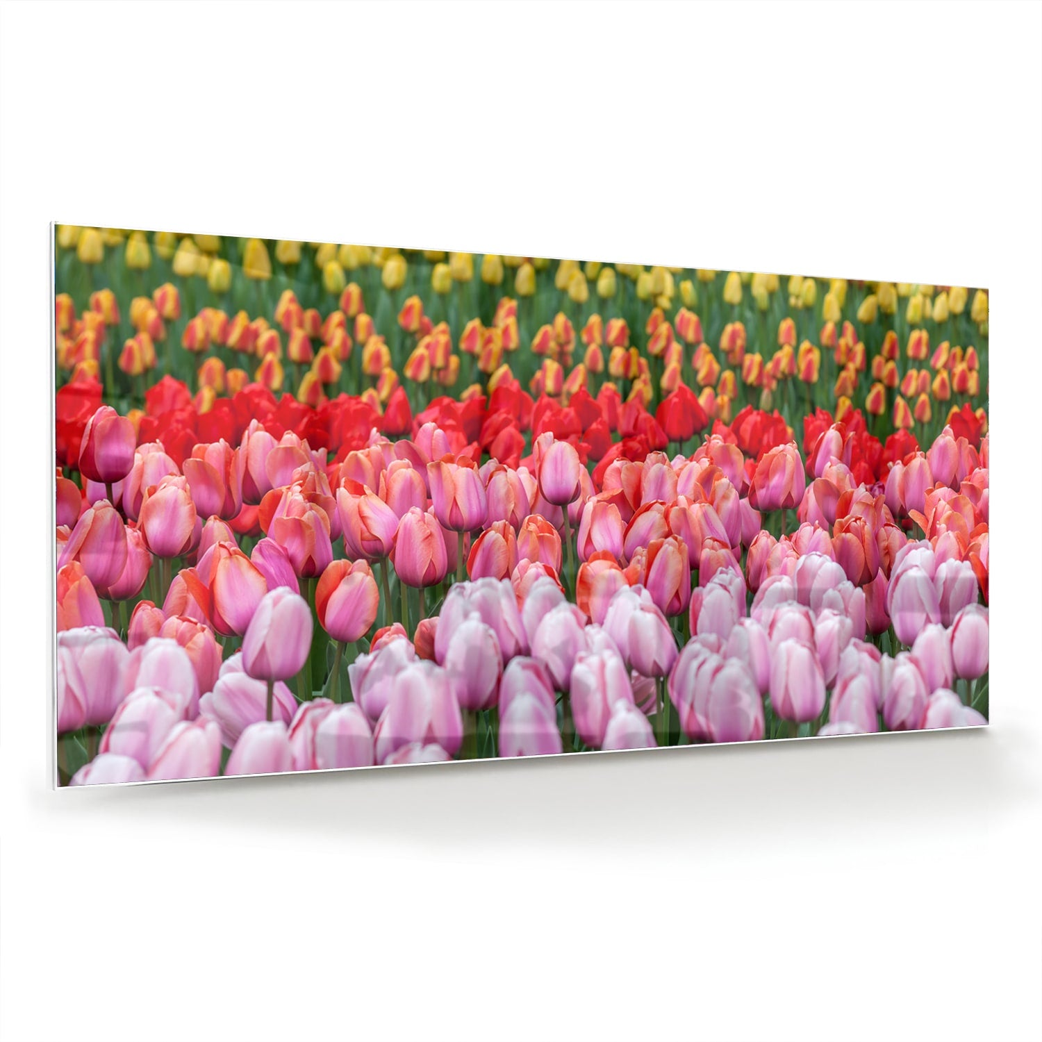 Glazen schilderij van kleurrijke tulpen in een tuin setting.