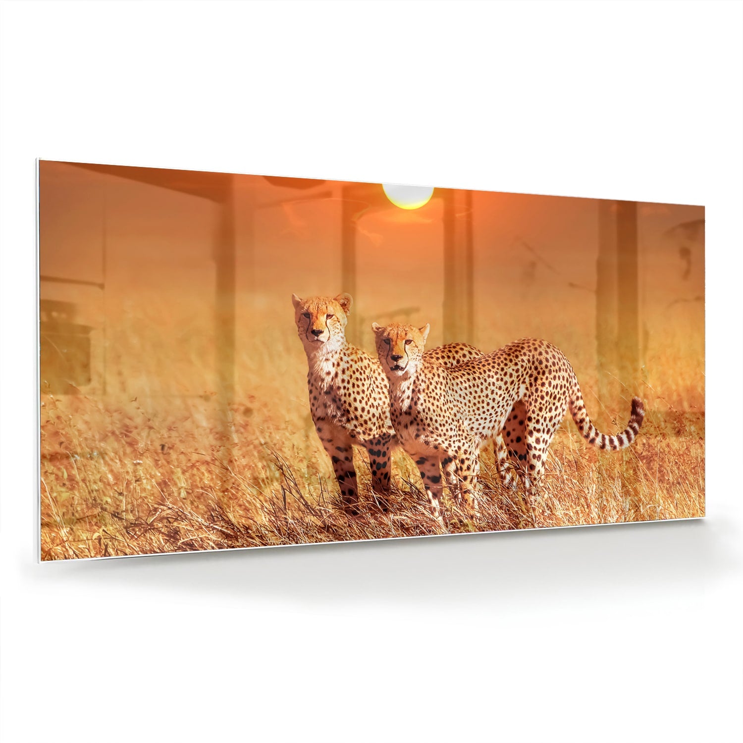 Glazen schilderij van twee cheeta's in een gouden savanne bij zonsondergang.