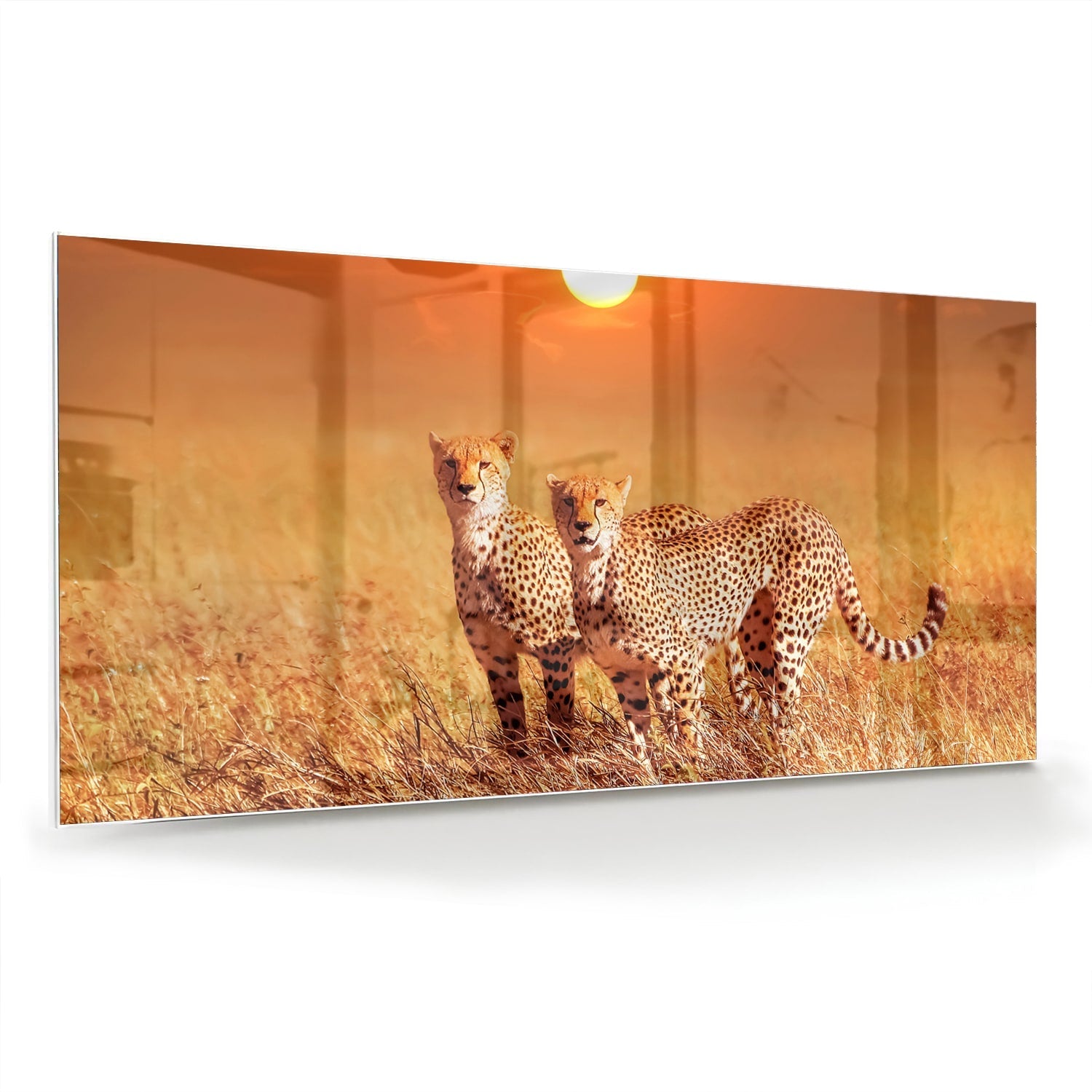 Glazen schilderij van twee cheeta's in een gouden savanne bij zonsondergang.
