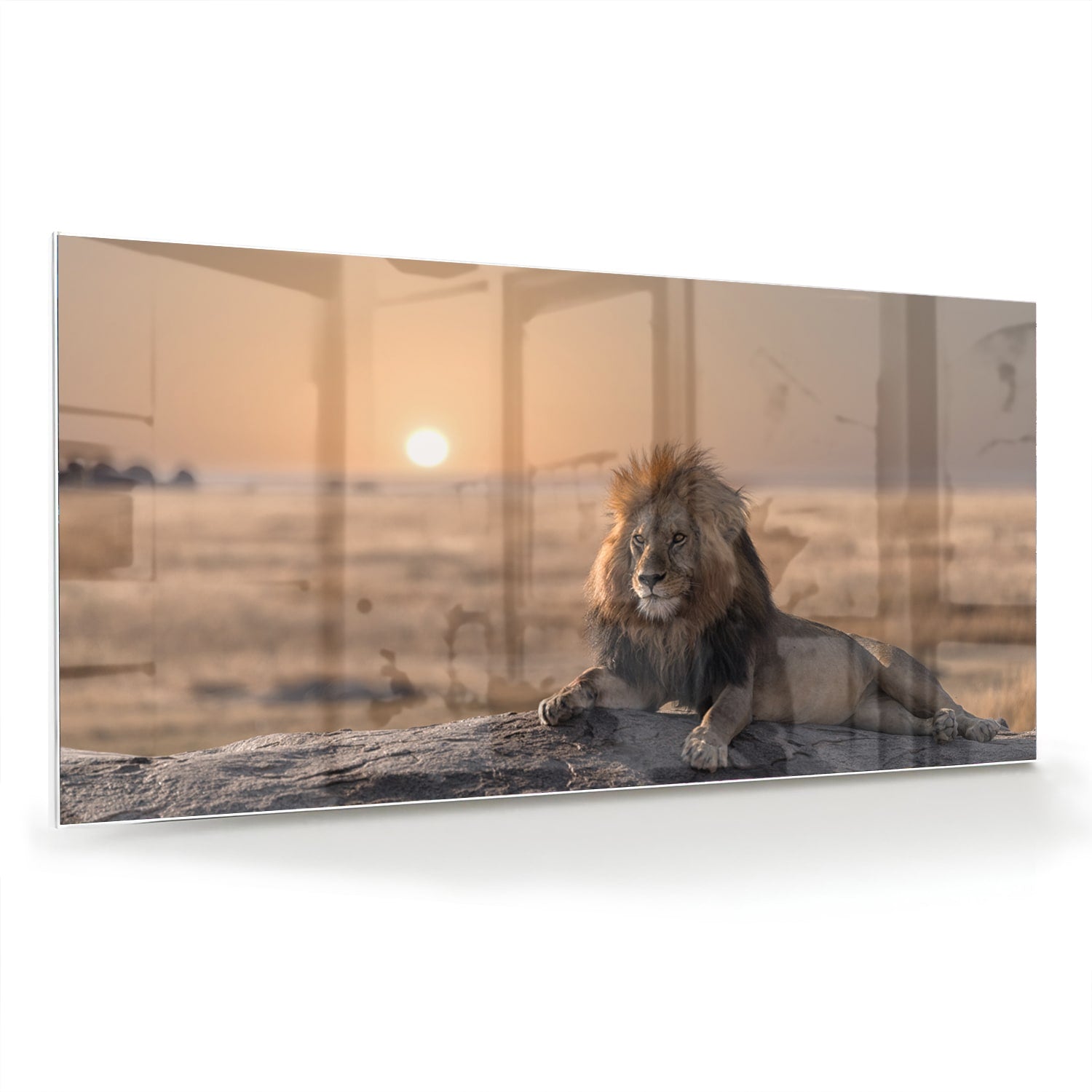 Glazen schilderij van een leeuw die op een rots ligt met zonsondergang op de achtergrond.