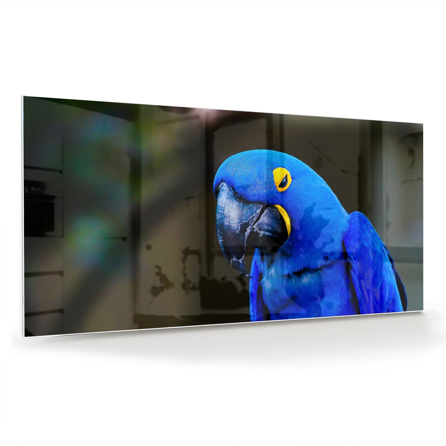 Glazen schilderij van een blauwe ara, ideaal voor wanddecoratie.