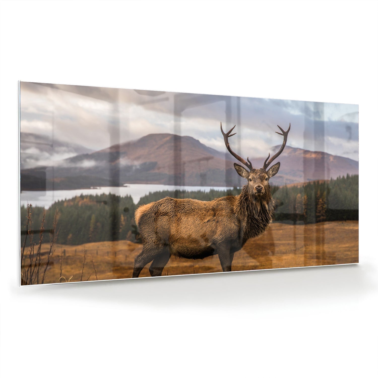 Glazen schilderij van een hert op een natuurlijke achtergrond.