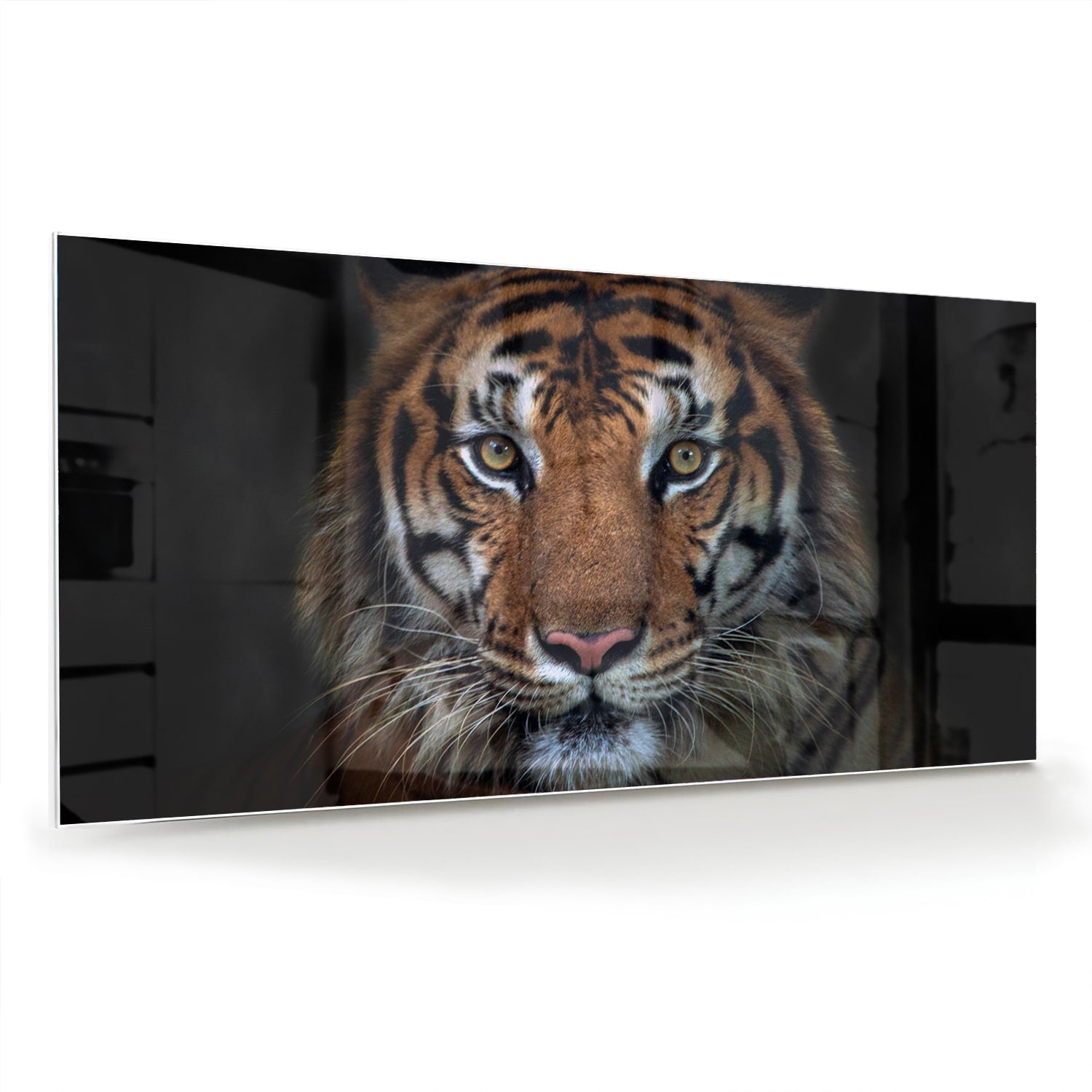 Glazen schilderij van een tijger, mooi weergegeven in een moderne woonkamer.