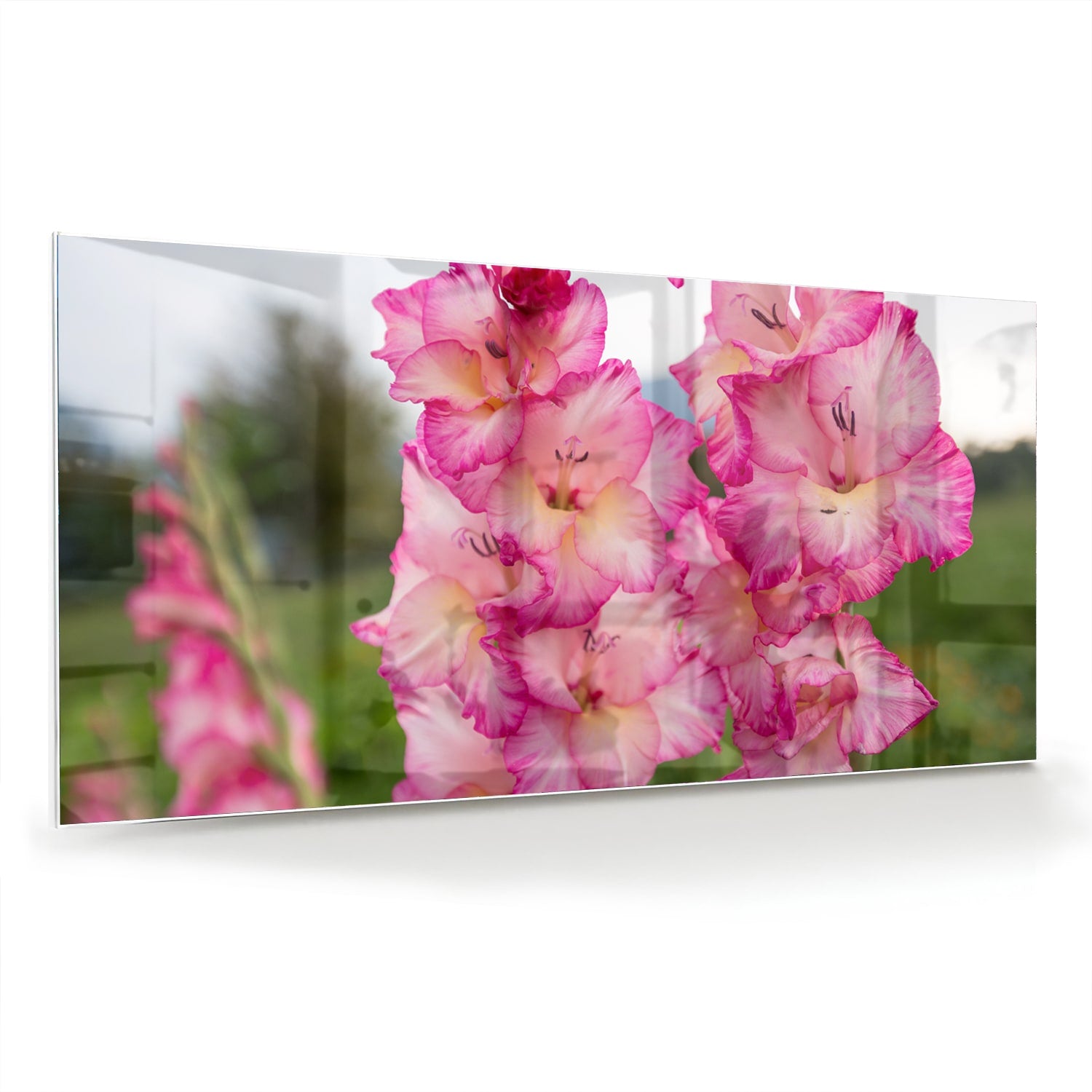 Glazen schilderij van roze gladiolen, een elegant decoratief stuk voor de muur.
