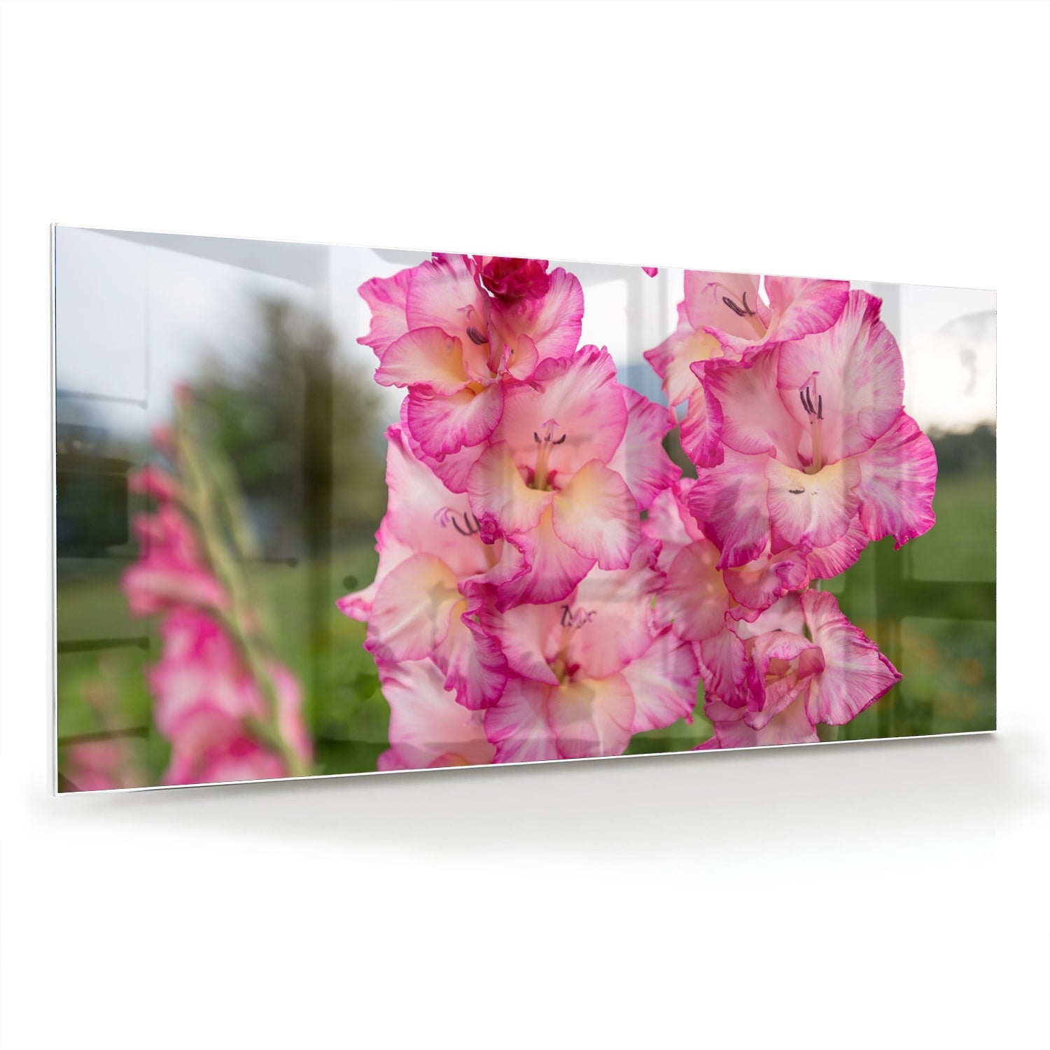 Glazen schilderij van roze gladiolen, een elegant decoratief stuk voor de muur.