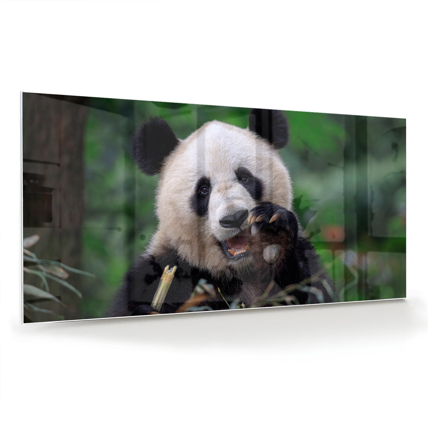 Glazen schilderij met een panda in een groene omgeving, perfect voor mooie interieurdecoratie.