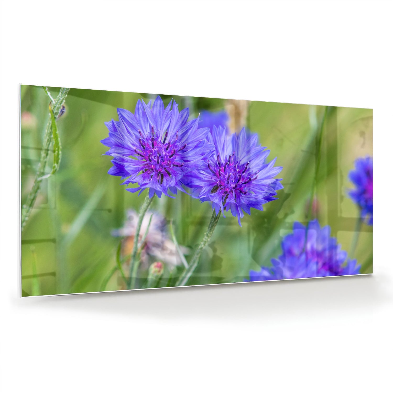 Glazen schilderij met paarse bloemen in een moderne woonkamer.
