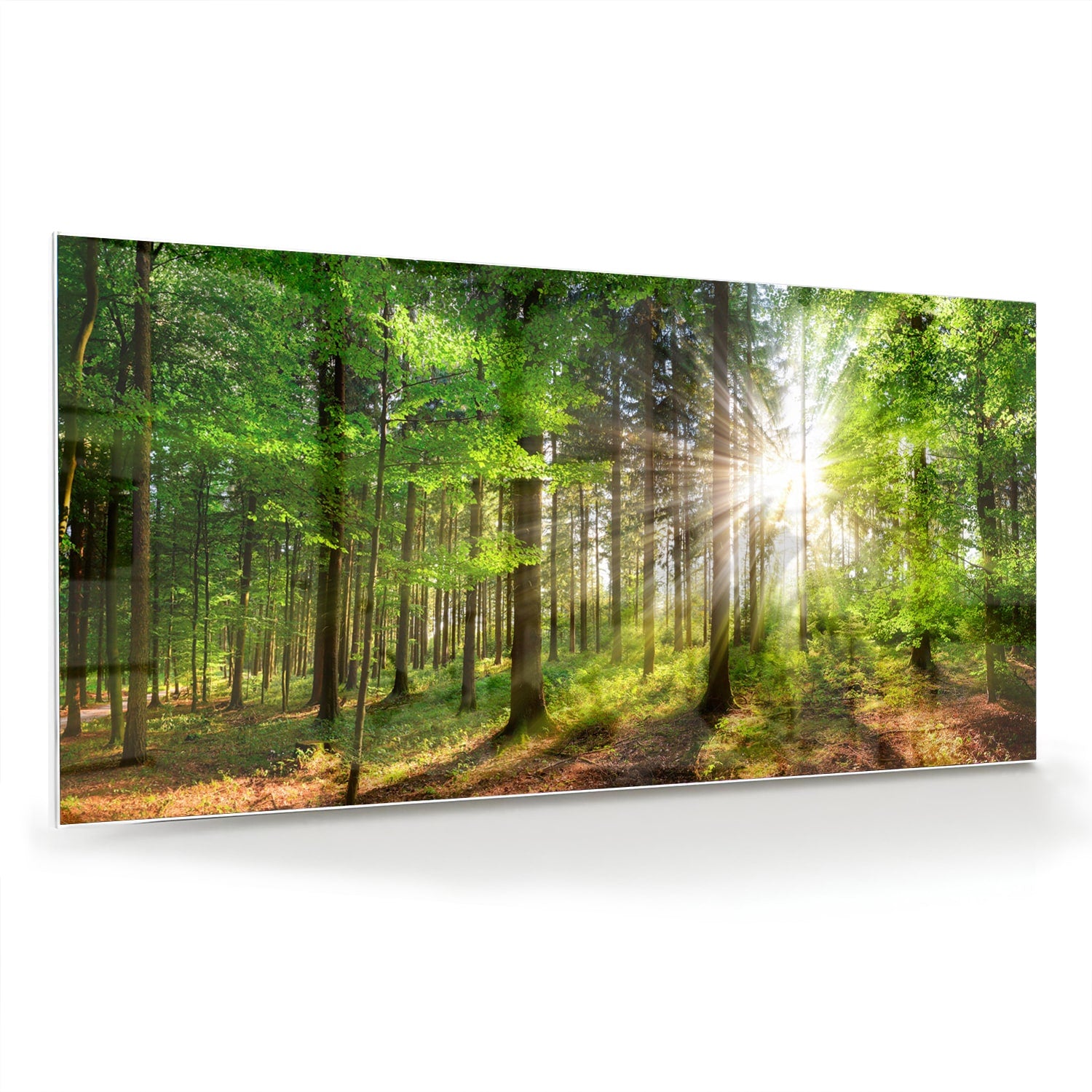 Glazen schilderij van een bos met zonnestralen op een muur.