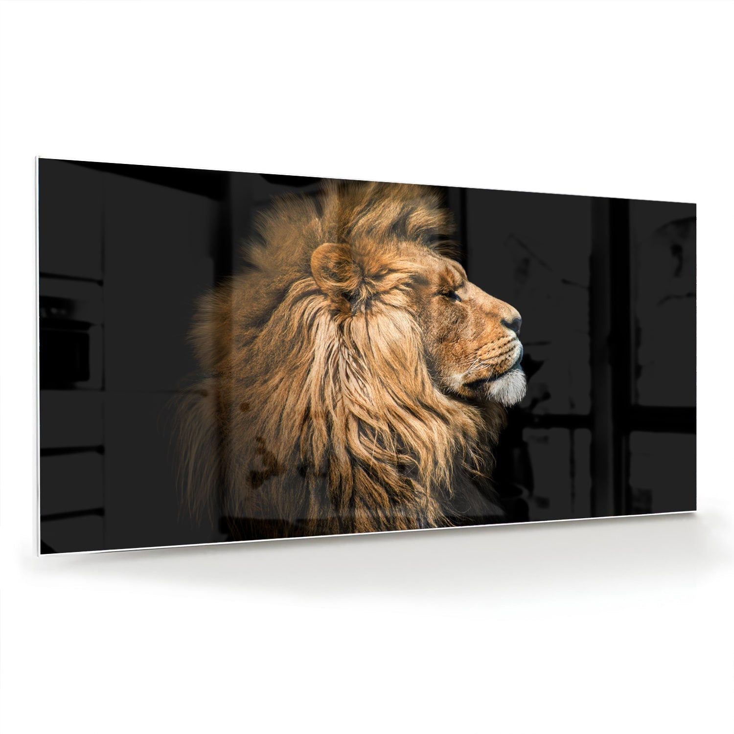 Glazen schilderij van een leeuw met rijke, gouden manen tegen een zwarte achtergrond.