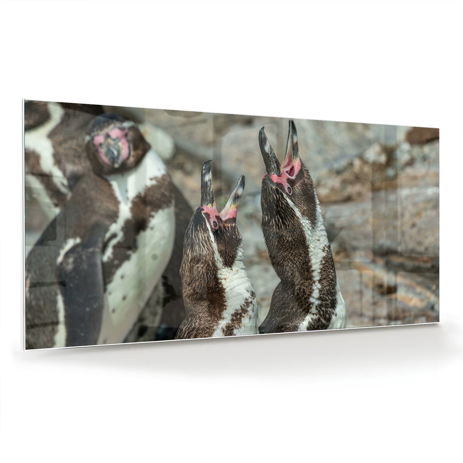 Glas schilderij met vrolijke pinguns op een muur in een modern interieur.