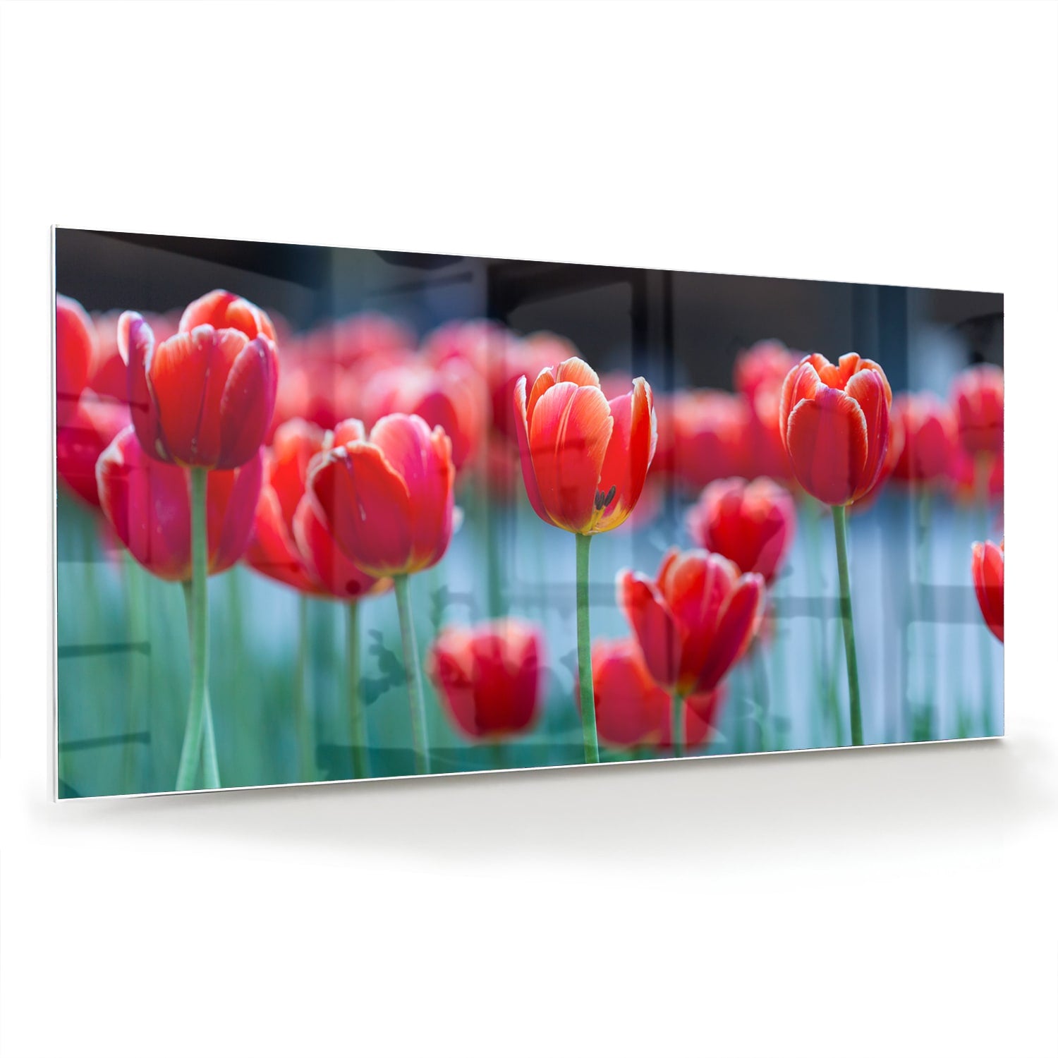Glazen schilderij met rode tulpen op een witte muur