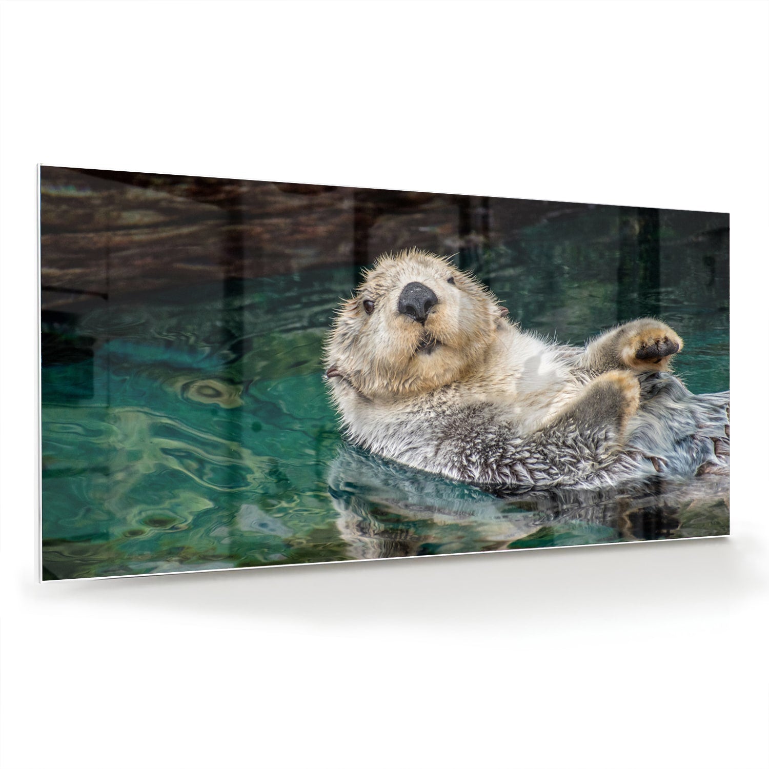 Glazen schilderij van een zeeotter die in water drijft.