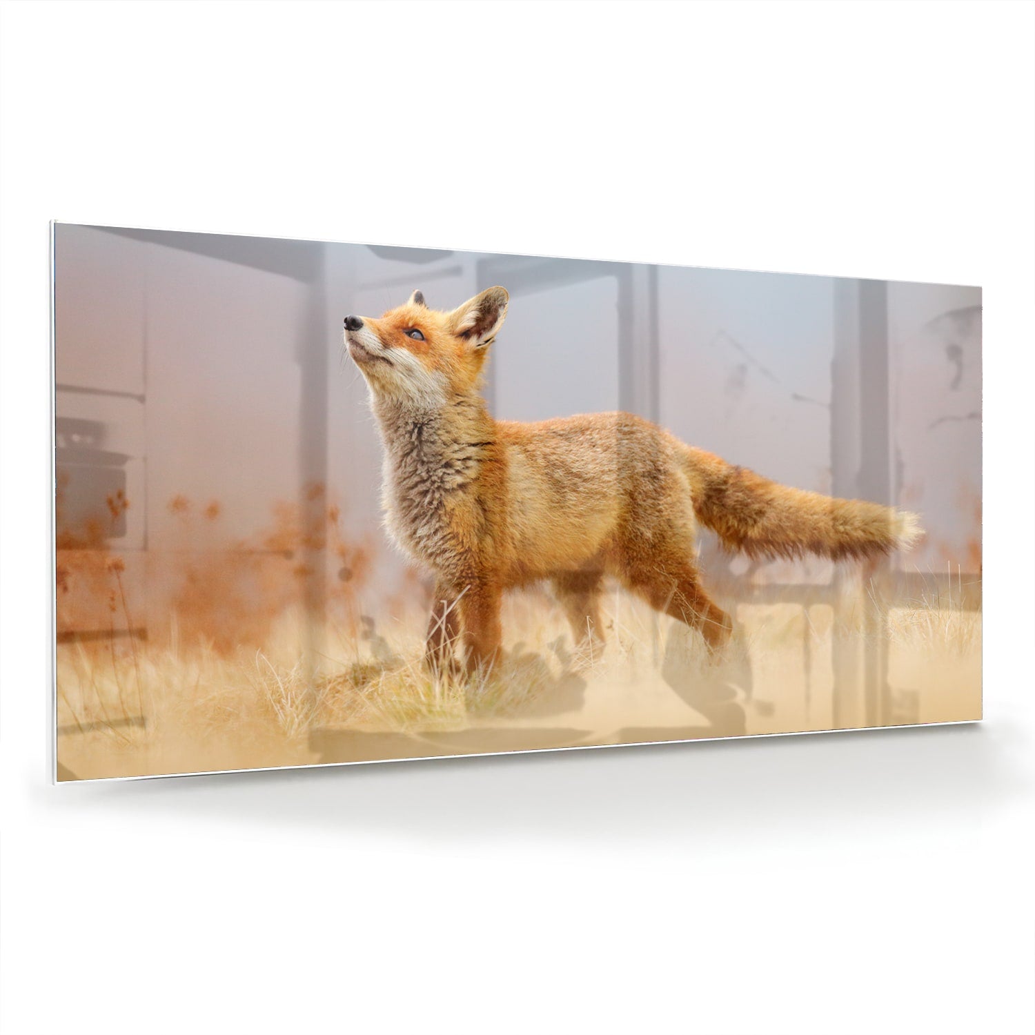 Glazen schilderij van een vos die in de natuur staat, perfect voor moderne interieurs.